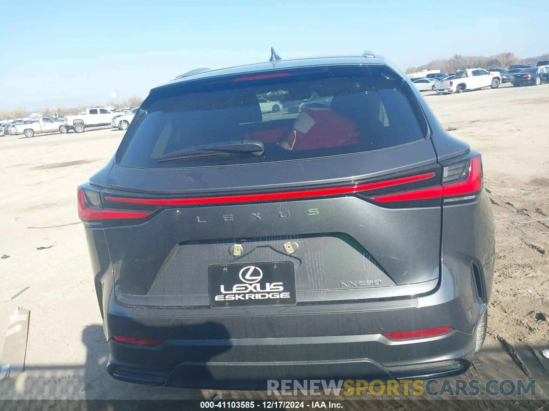17 fotografías del automóvil dañado 2T2GDCAZ0RC008020 LEXUS NX 250 2024