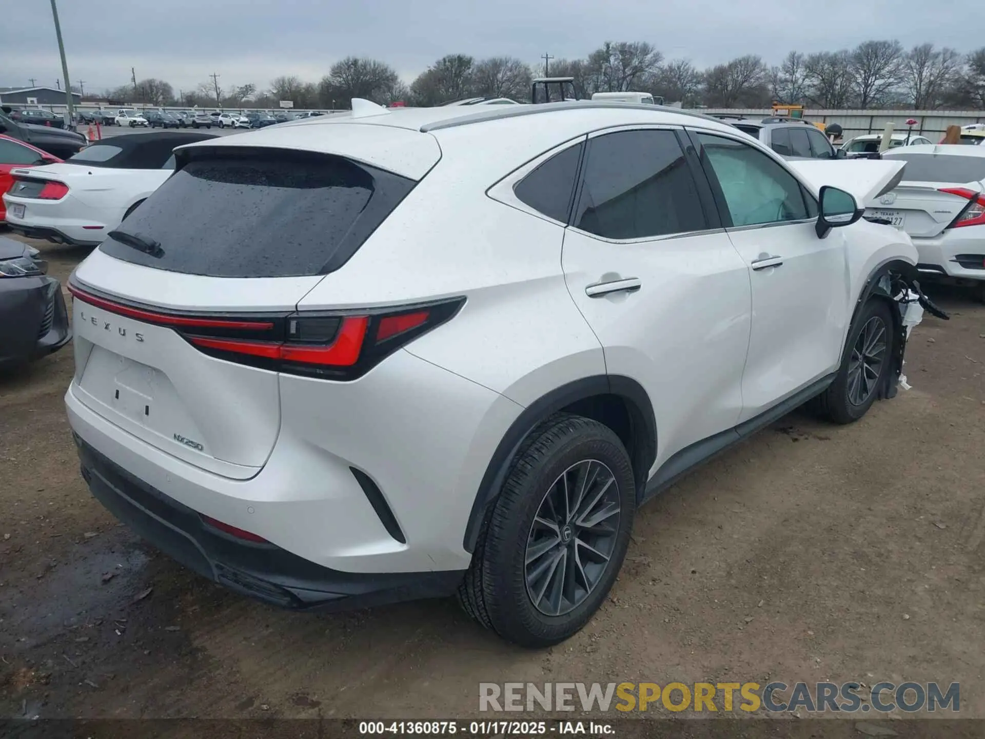 4 fotografías del automóvil dañado 2T2GDCAZXRC015315 LEXUS NX 250 2024
