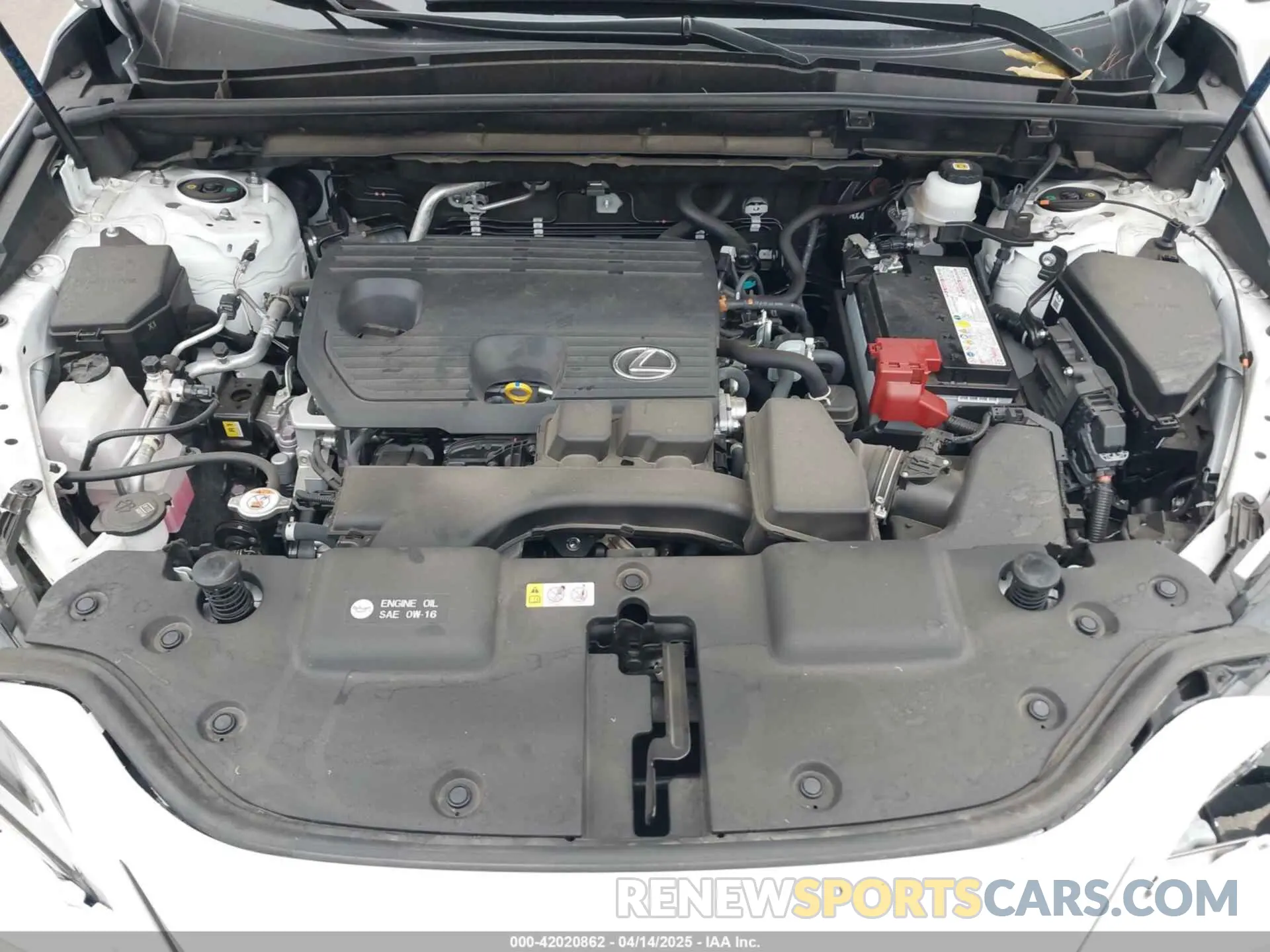 10 fotografías del automóvil dañado JTJGDCAZ2R5022080 LEXUS NX 250 2024