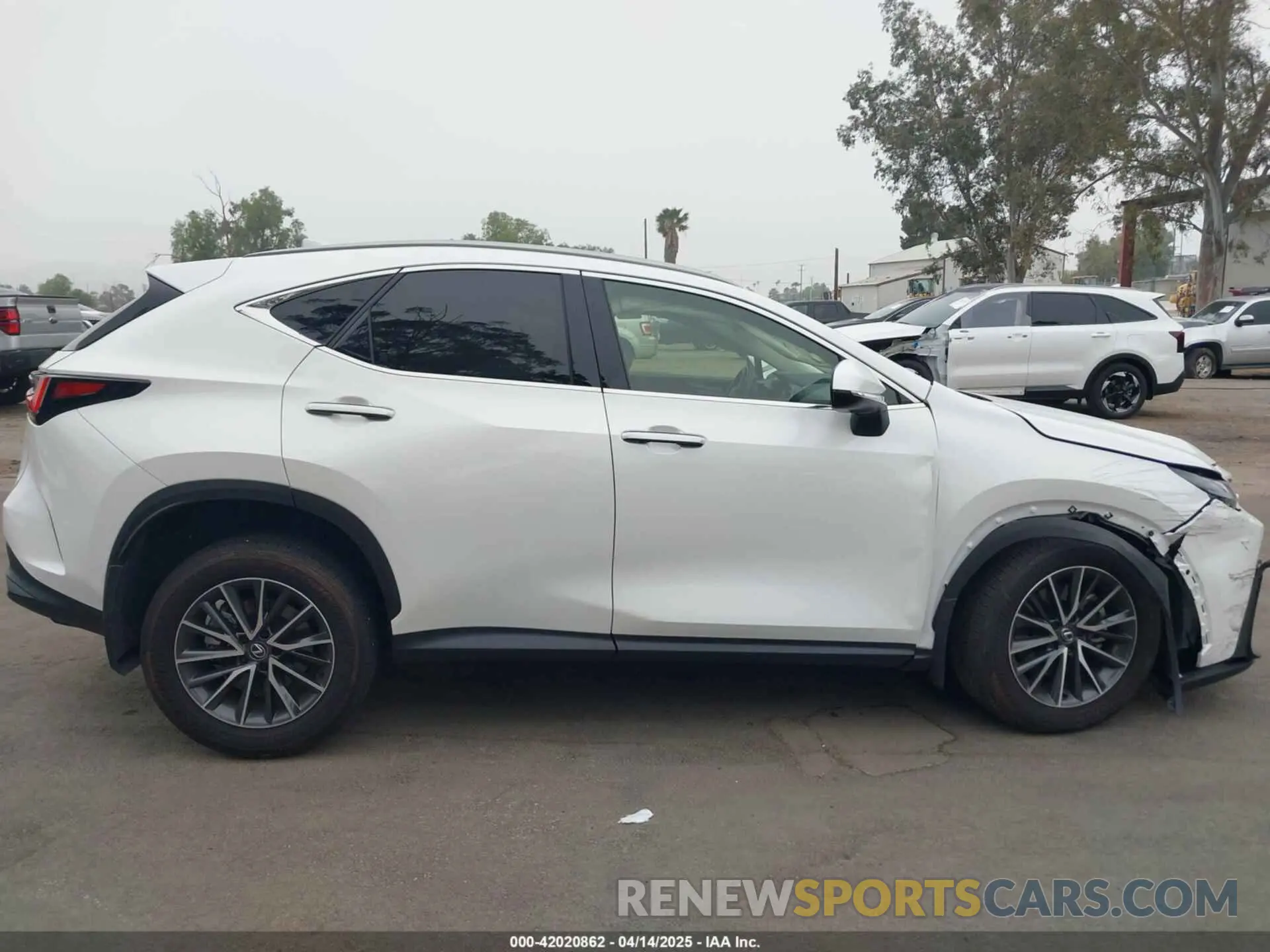 12 fotografías del automóvil dañado JTJGDCAZ2R5022080 LEXUS NX 250 2024