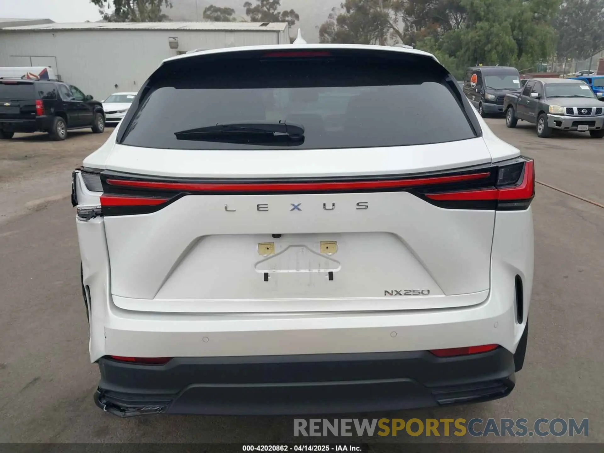 15 fotografías del automóvil dañado JTJGDCAZ2R5022080 LEXUS NX 250 2024