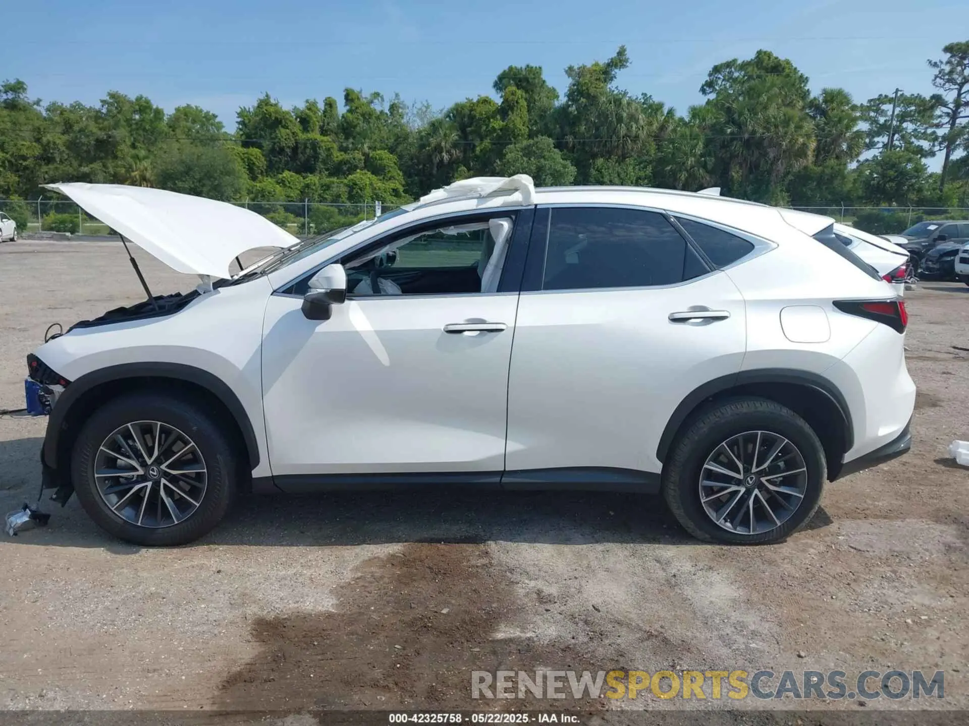 14 fotografías del automóvil dañado 2T2GDCAZ0SC017127 LEXUS NX 250 2025