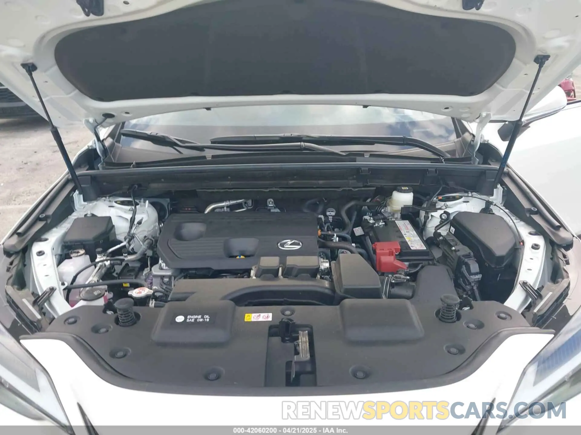 10 fotografías del automóvil dañado JTJADCAZ1S2022956 LEXUS NX 250 2025