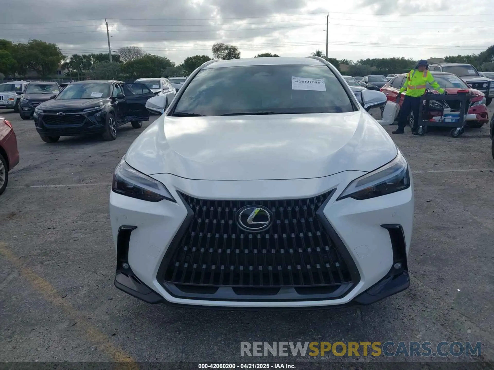 13 fotografías del automóvil dañado JTJADCAZ1S2022956 LEXUS NX 250 2025