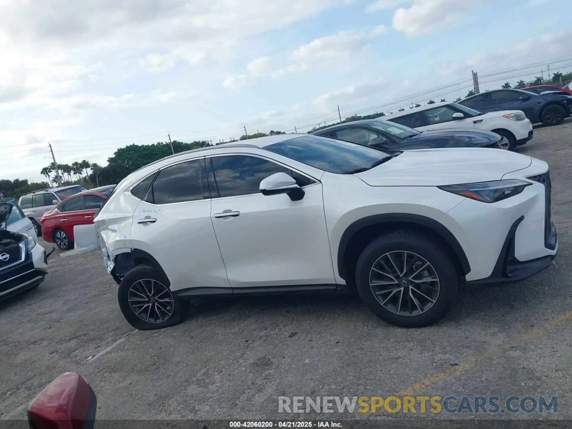 14 fotografías del automóvil dañado JTJADCAZ1S2022956 LEXUS NX 250 2025