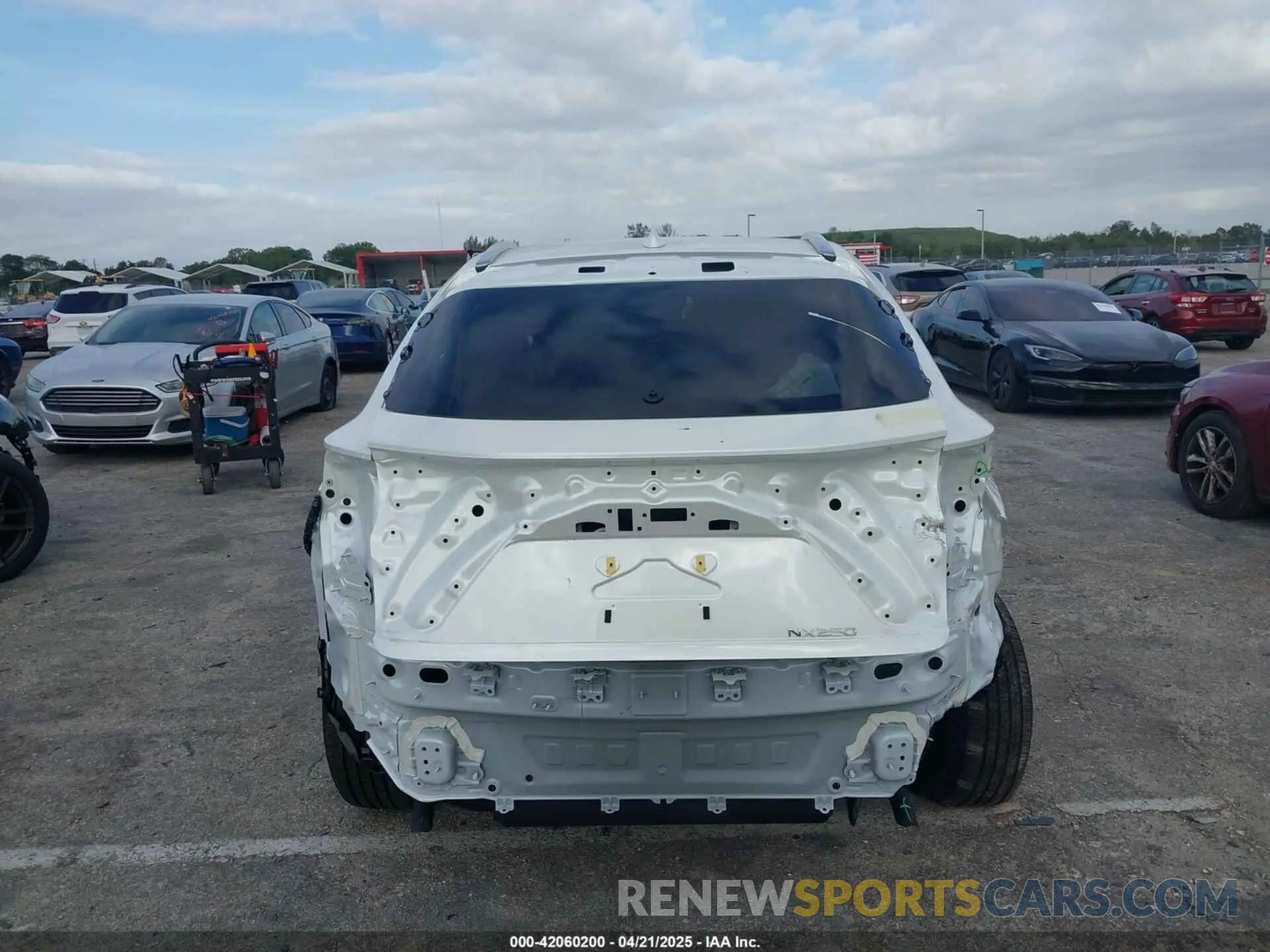 17 fotografías del automóvil dañado JTJADCAZ1S2022956 LEXUS NX 250 2025