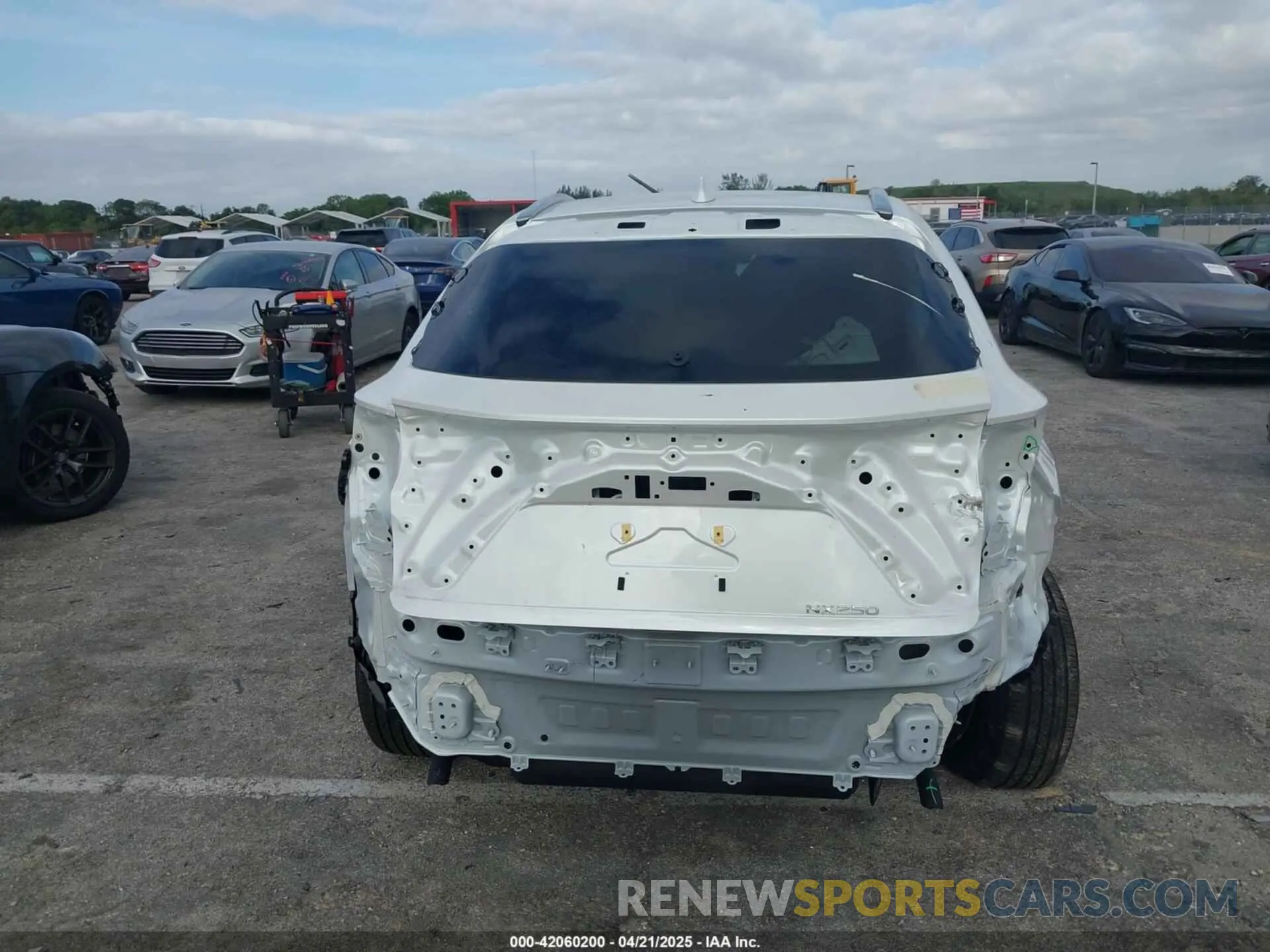 18 fotografías del automóvil dañado JTJADCAZ1S2022956 LEXUS NX 250 2025