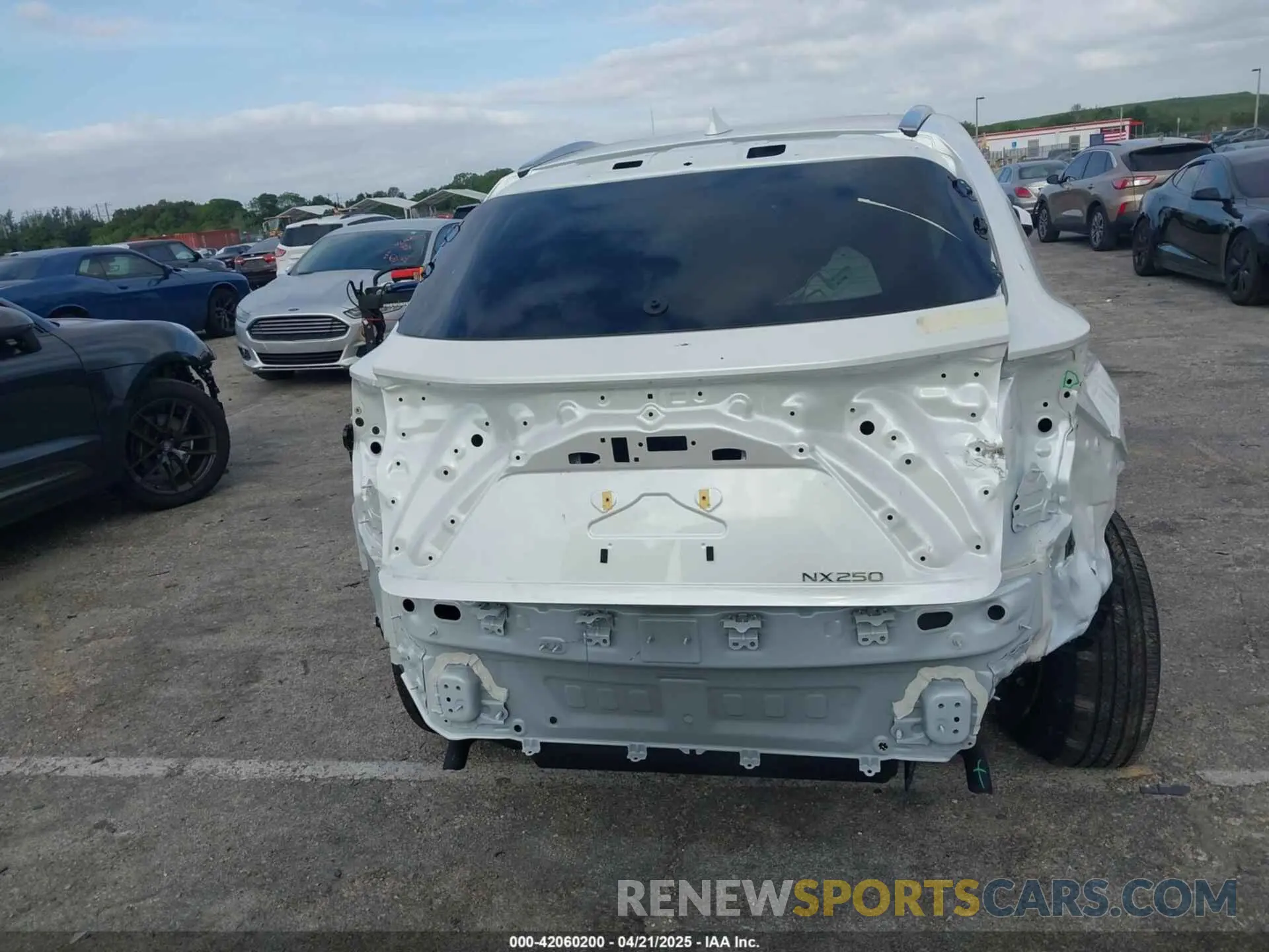 6 fotografías del automóvil dañado JTJADCAZ1S2022956 LEXUS NX 250 2025