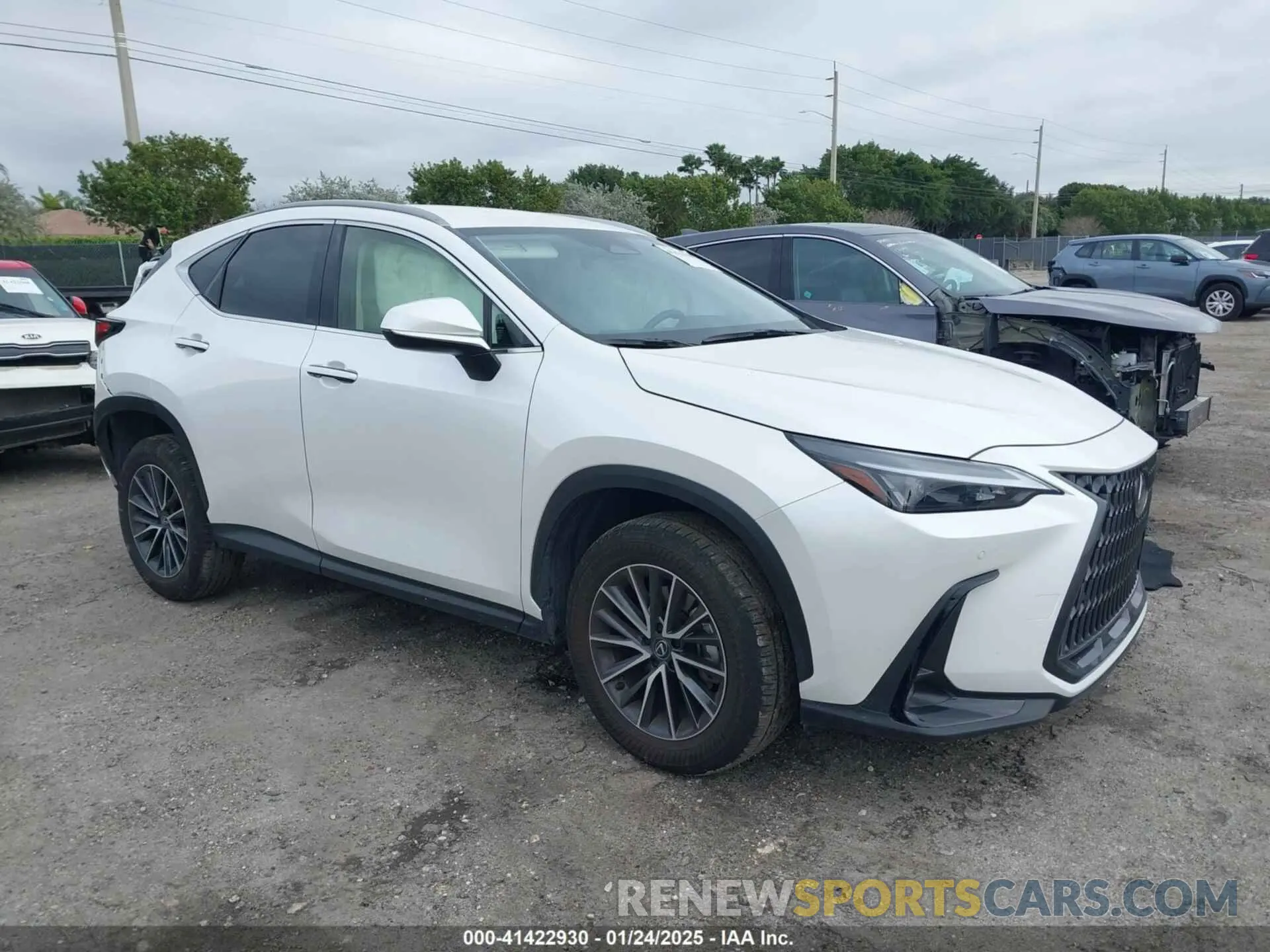 1 fotografías del automóvil dañado JTJADCAZ5S5024241 LEXUS NX 250 2025