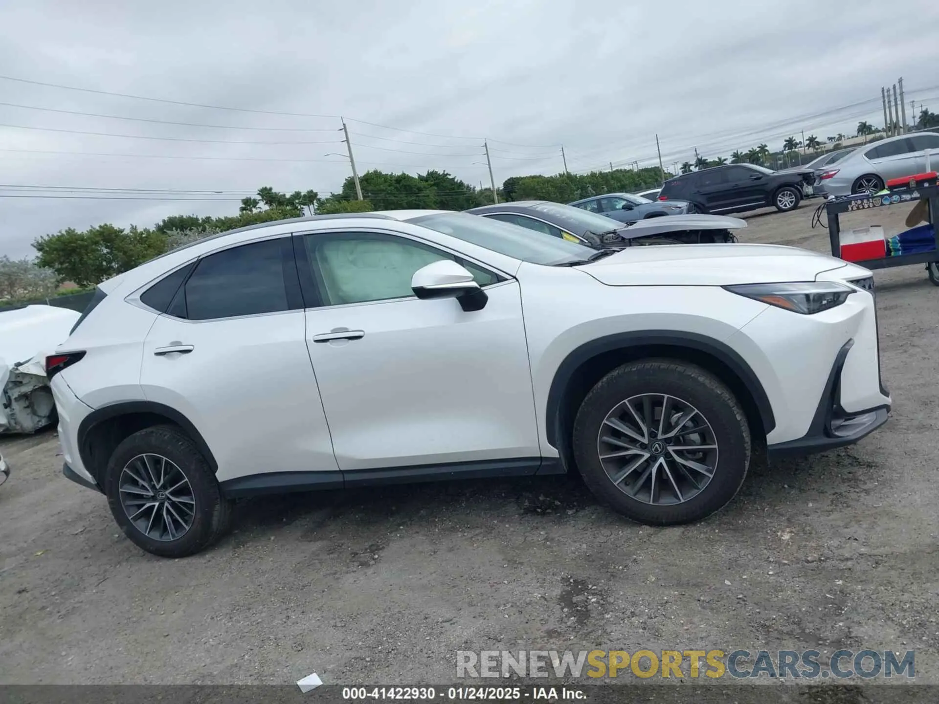 13 fotografías del automóvil dañado JTJADCAZ5S5024241 LEXUS NX 250 2025
