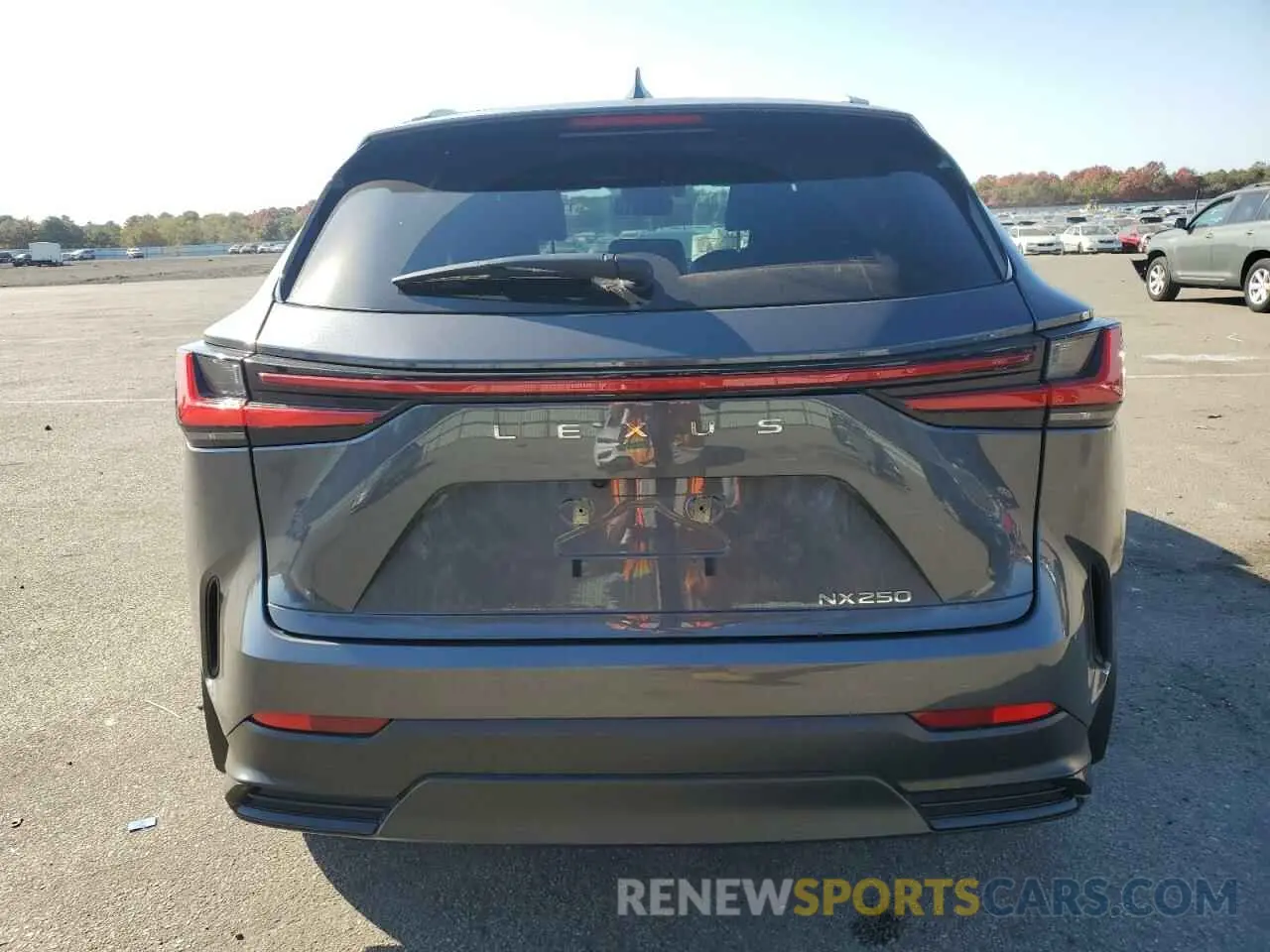 6 fotografías del automóvil dañado 2T2ADCAZ4RC006065 LEXUS NX 250 BAS 2024