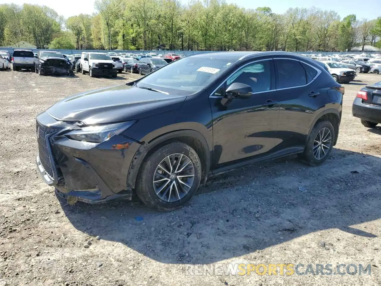 1 fotografías del automóvil dañado 2T2ADCAZ4RC009662 LEXUS NX 250 BAS 2024