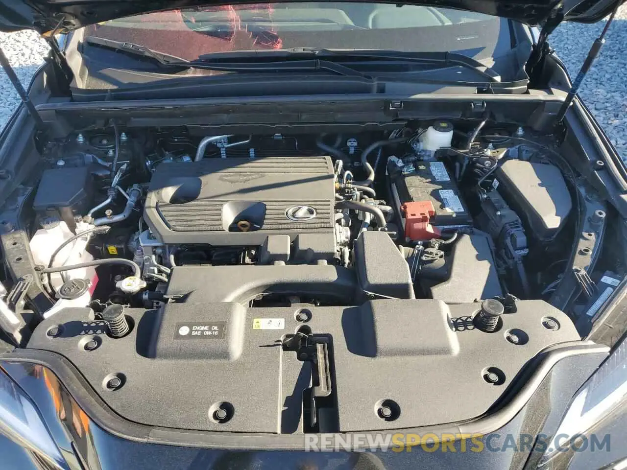 12 fotografías del automóvil dañado 2T2ADCAZ0SC017635 LEXUS NX 250 BAS 2025