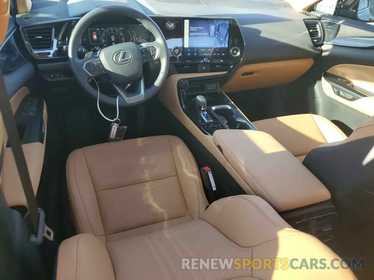 8 fotografías del automóvil dañado 2T2ADCAZ0SC017635 LEXUS NX 250 BAS 2025