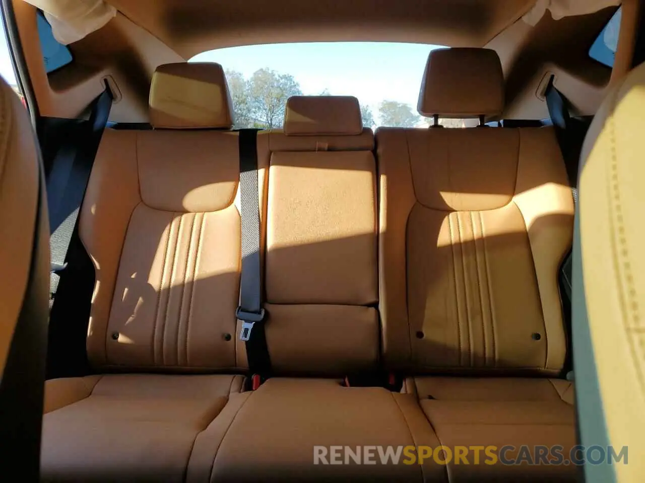 10 fotografías del automóvil dañado 2T2ADCAZ1SC025484 LEXUS NX 250 BAS 2025