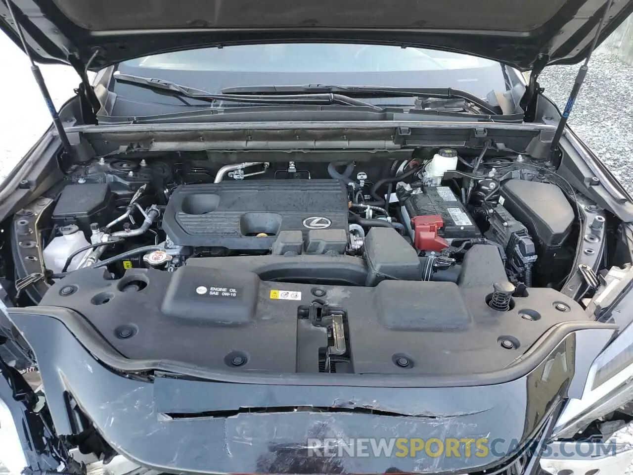 12 fotografías del automóvil dañado 2T2GDCAZ0RC006350 LEXUS NX 250 PRE 2024