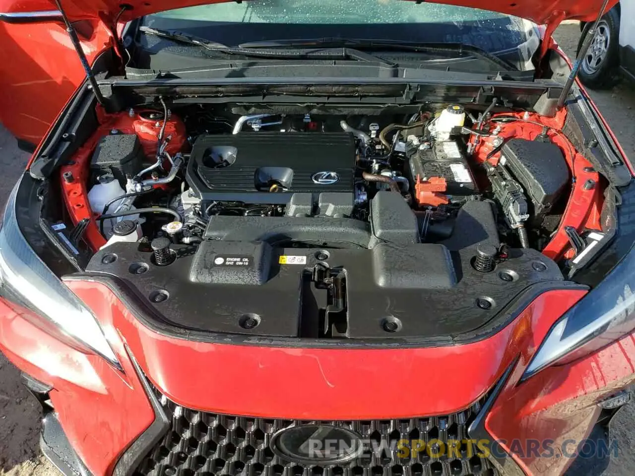 12 fotografías del automóvil dañado 2T2GDCAZ5RC011270 LEXUS NX 250 PRE 2024