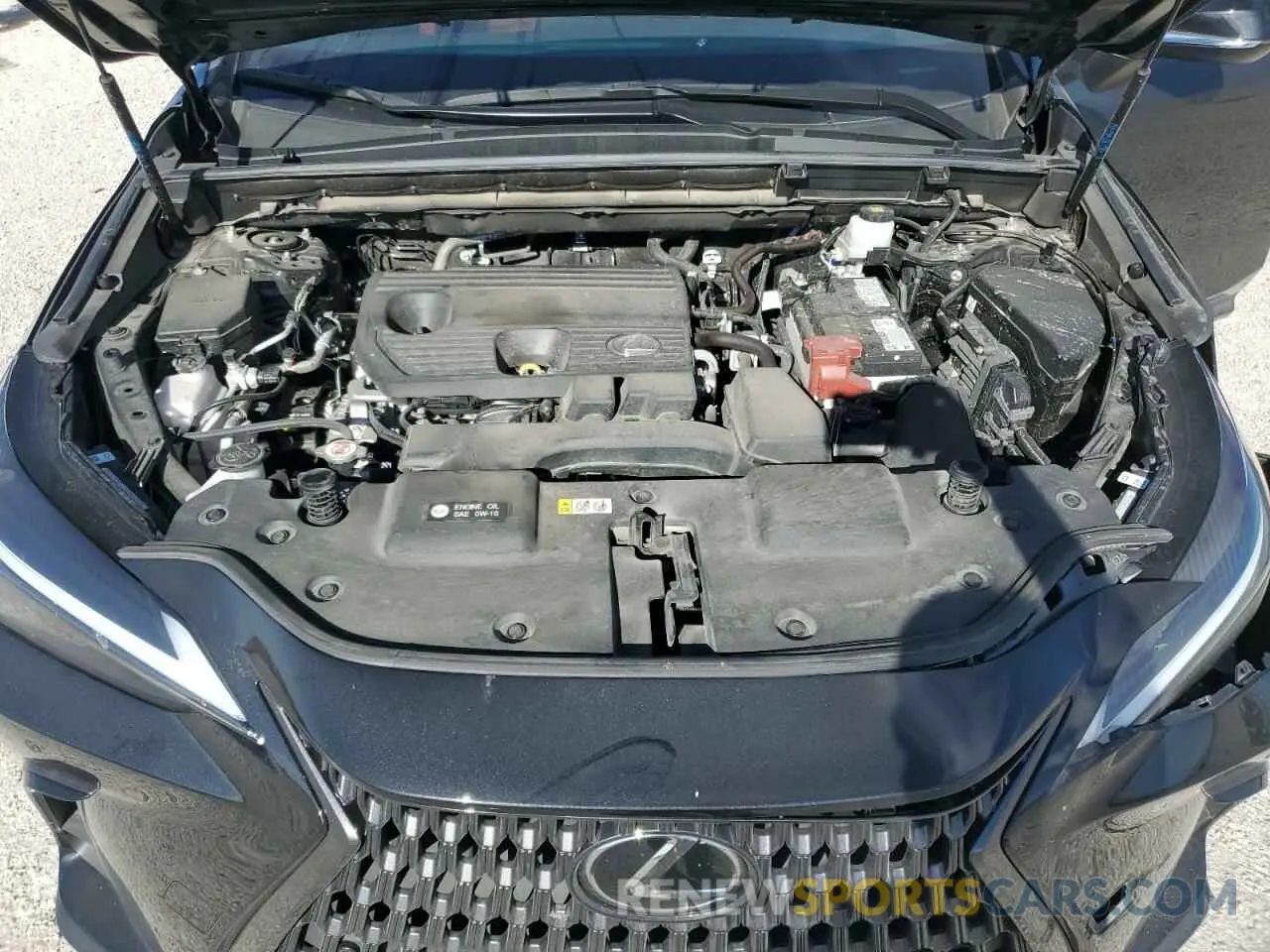 12 fotografías del automóvil dañado 2T2GDCAZ6RC009866 LEXUS NX 250 PRE 2024