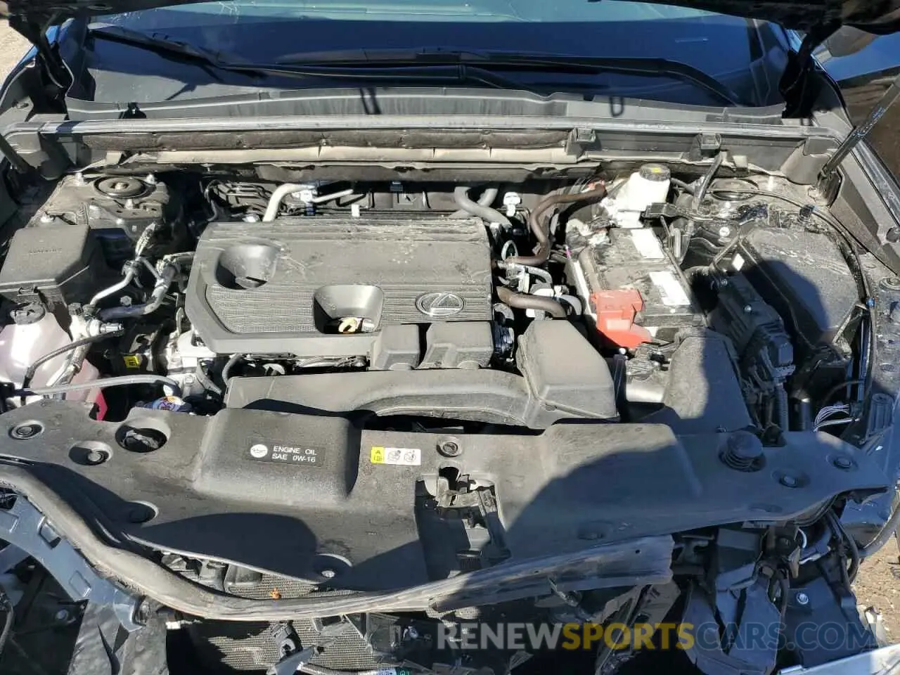 12 fotografías del automóvil dañado 2T2GDCAZ8RC014499 LEXUS NX 250 PRE 2024