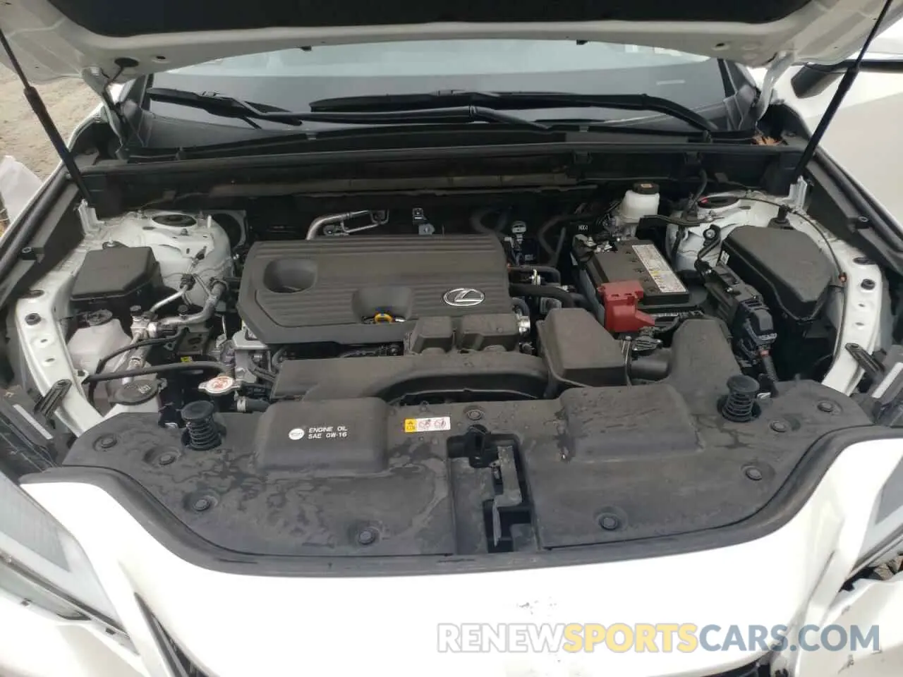 12 fotografías del automóvil dañado JTJGDCAZ1R2009466 LEXUS NX 250 PRE 2024