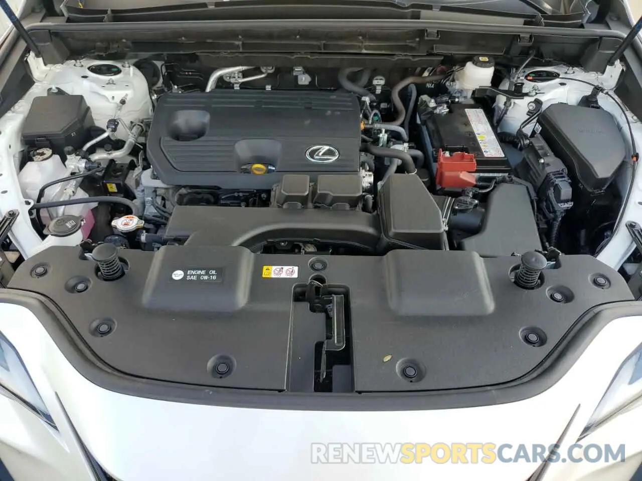 12 fotografías del automóvil dañado JTJGDCAZ6R5015553 LEXUS NX 250 PRE 2024