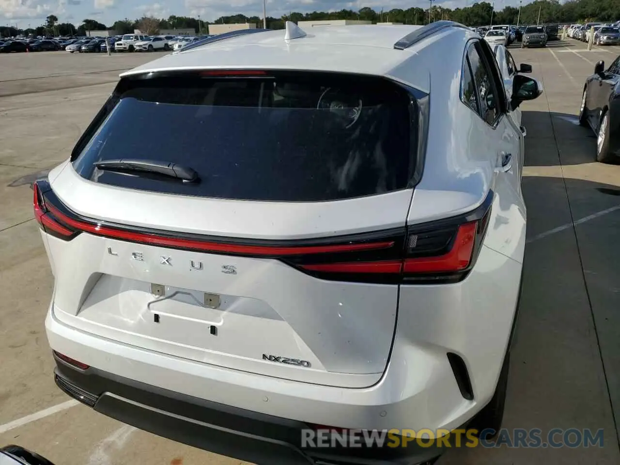 6 fotografías del automóvil dañado JTJGDCAZ6R5015553 LEXUS NX 250 PRE 2024