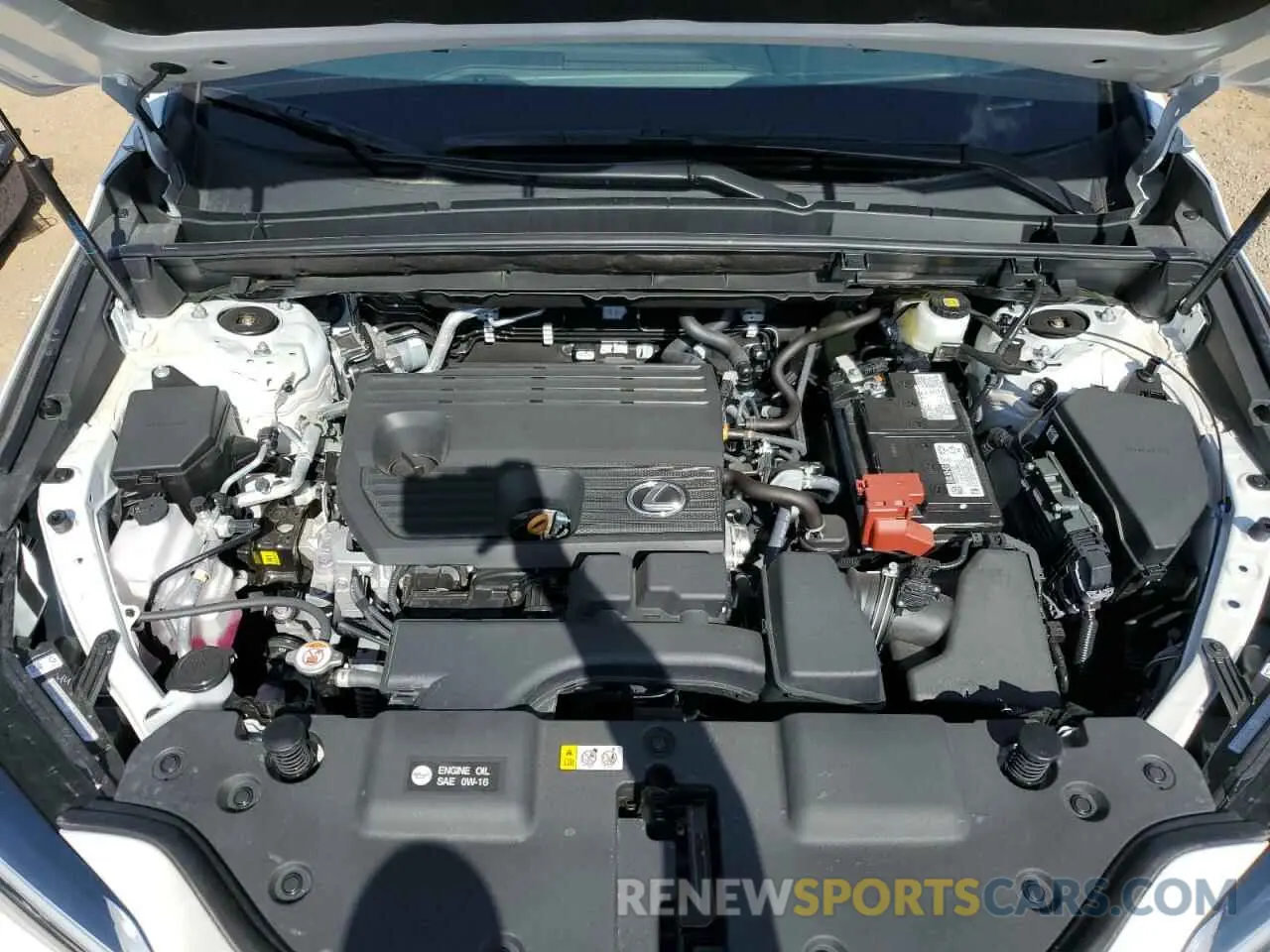 12 fotografías del automóvil dañado 2T2GDCAZ6SC016841 LEXUS NX 250 PRE 2025