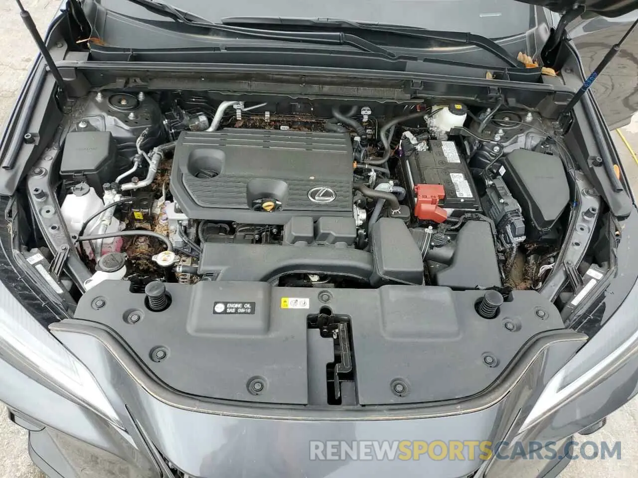 12 fotografías del automóvil dañado 2T2GDCAZ8SC021779 LEXUS NX 250 PRE 2025