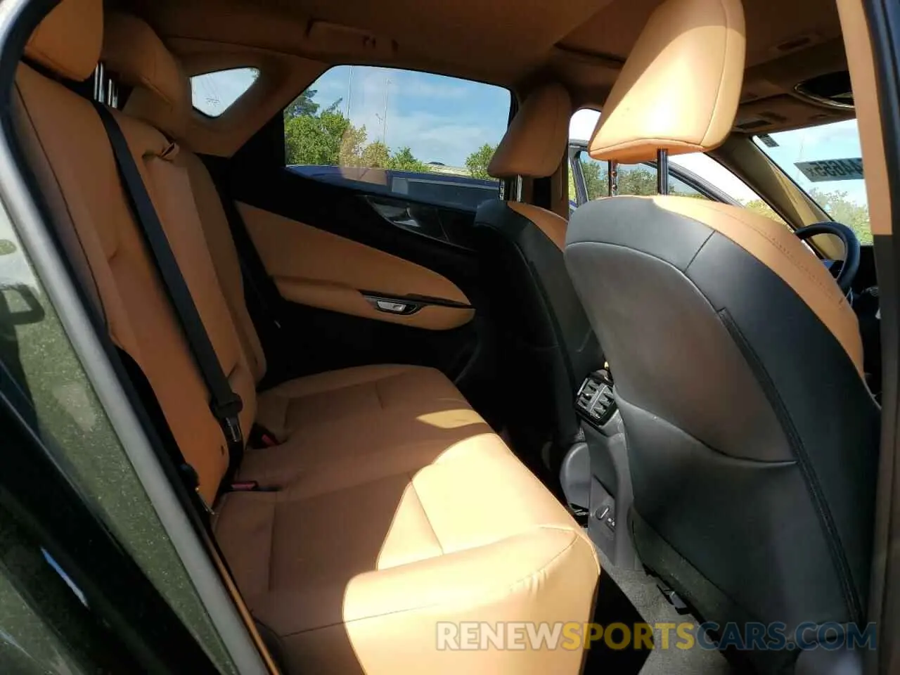 11 fotografías del automóvil dañado 2T2GDCAZXSC019614 LEXUS NX 250 PRE 2025