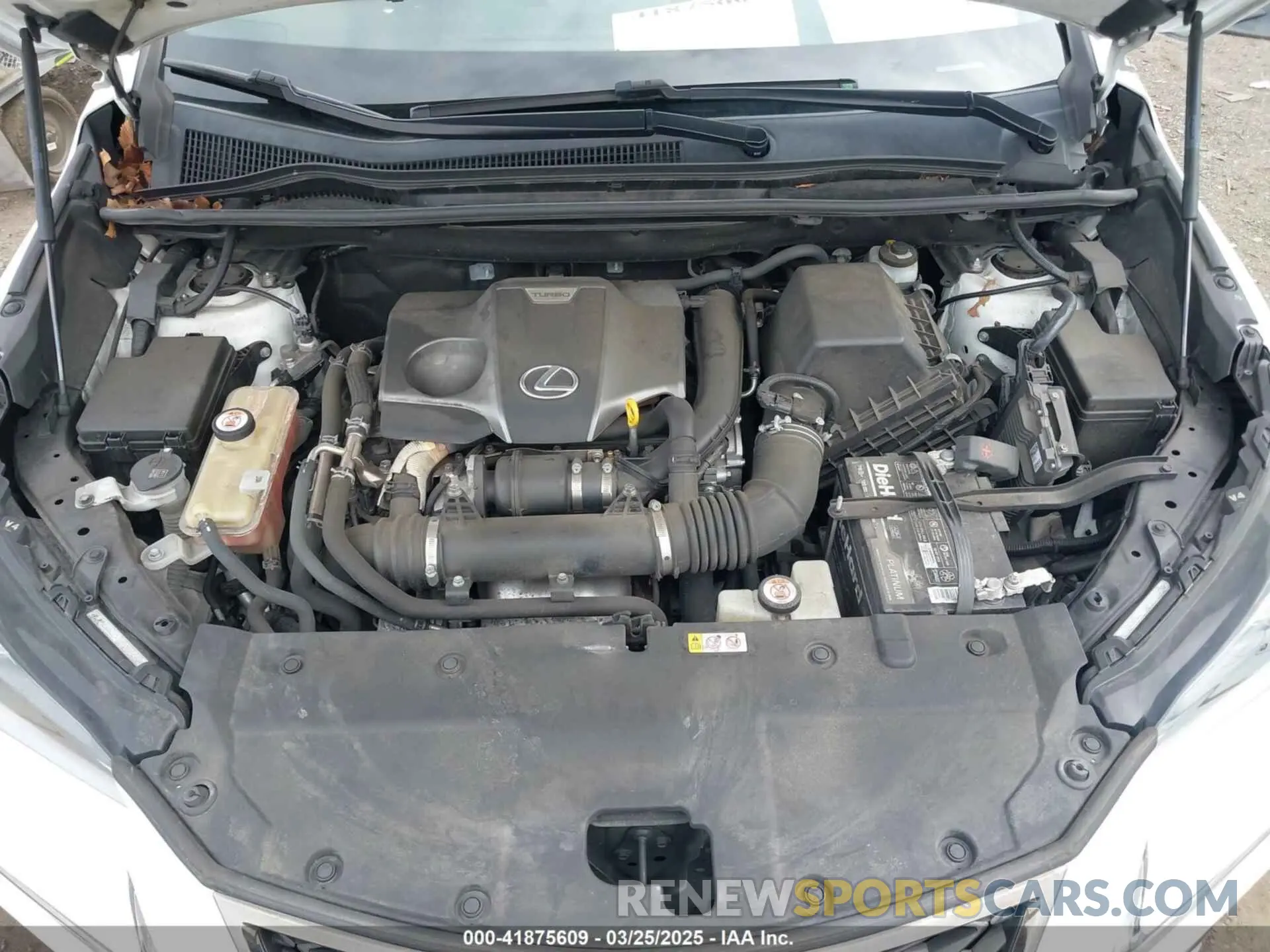 10 fotografías del automóvil dañado JTJBARBZ2K2196212 LEXUS NX 300 2019