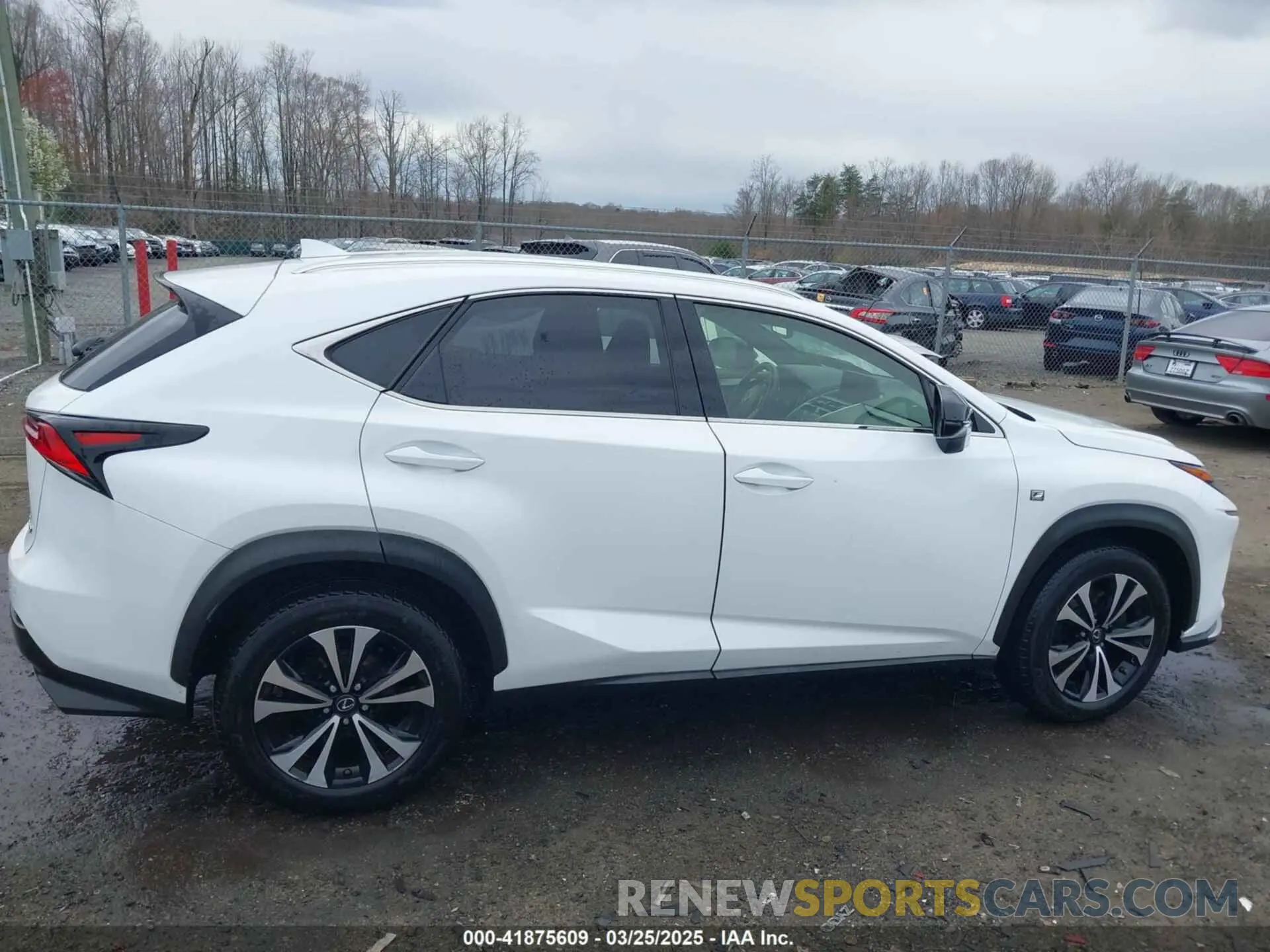 12 fotografías del automóvil dañado JTJBARBZ2K2196212 LEXUS NX 300 2019
