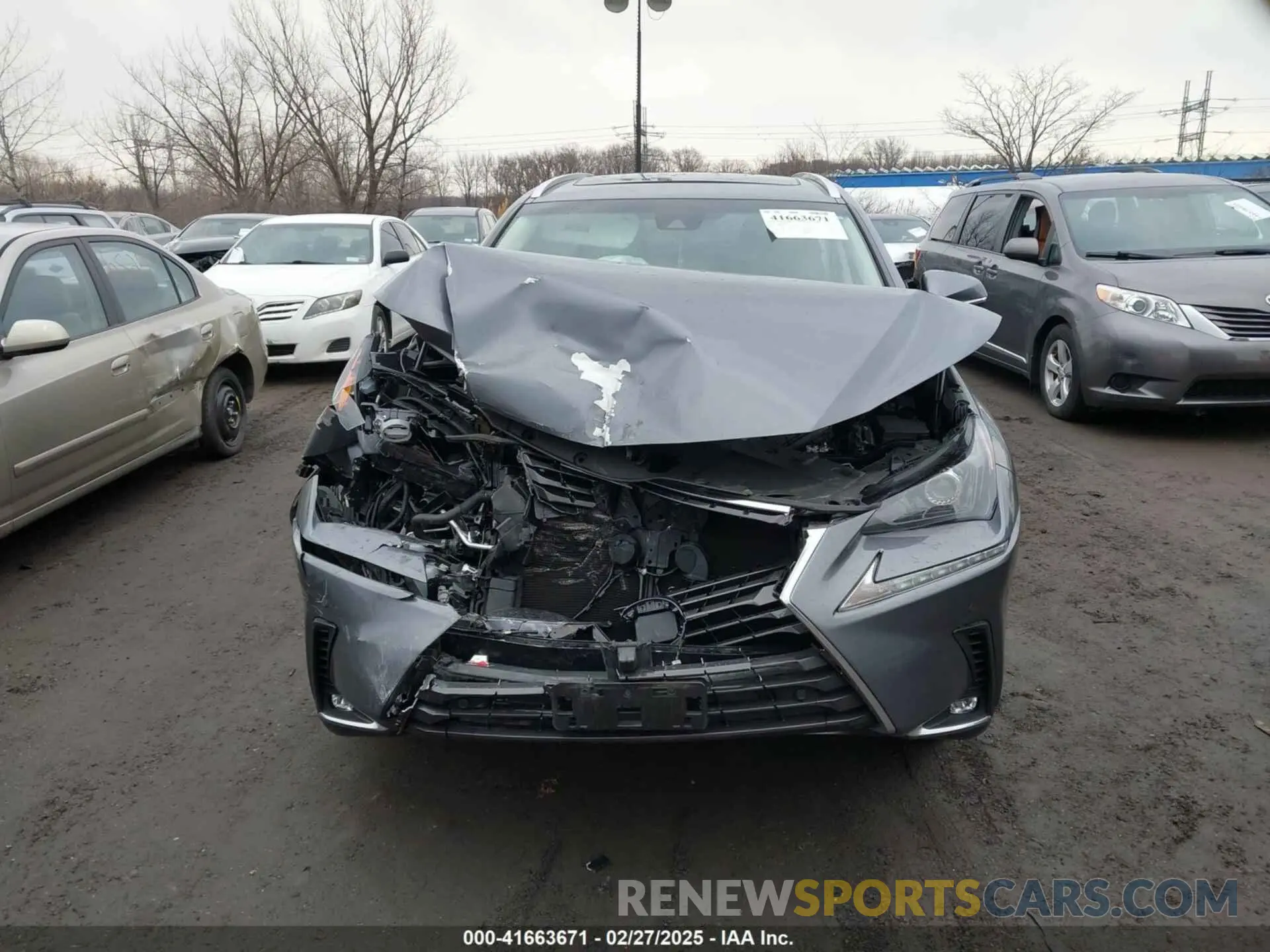 12 fotografías del automóvil dañado JTJBARBZ6K2217112 LEXUS NX 300 2019