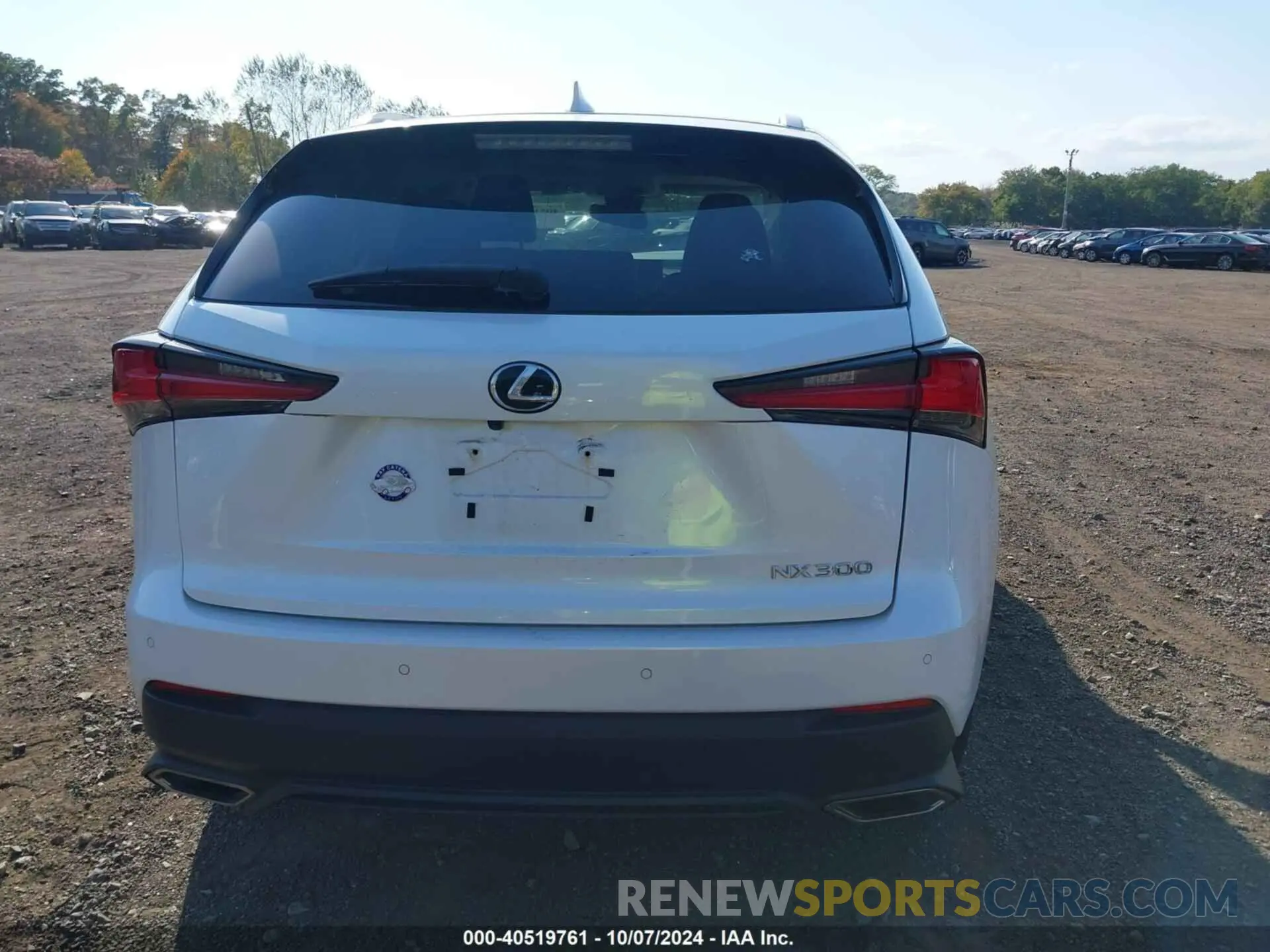 16 fotografías del automóvil dañado JTJBARBZ8K2213501 LEXUS NX 300 2019