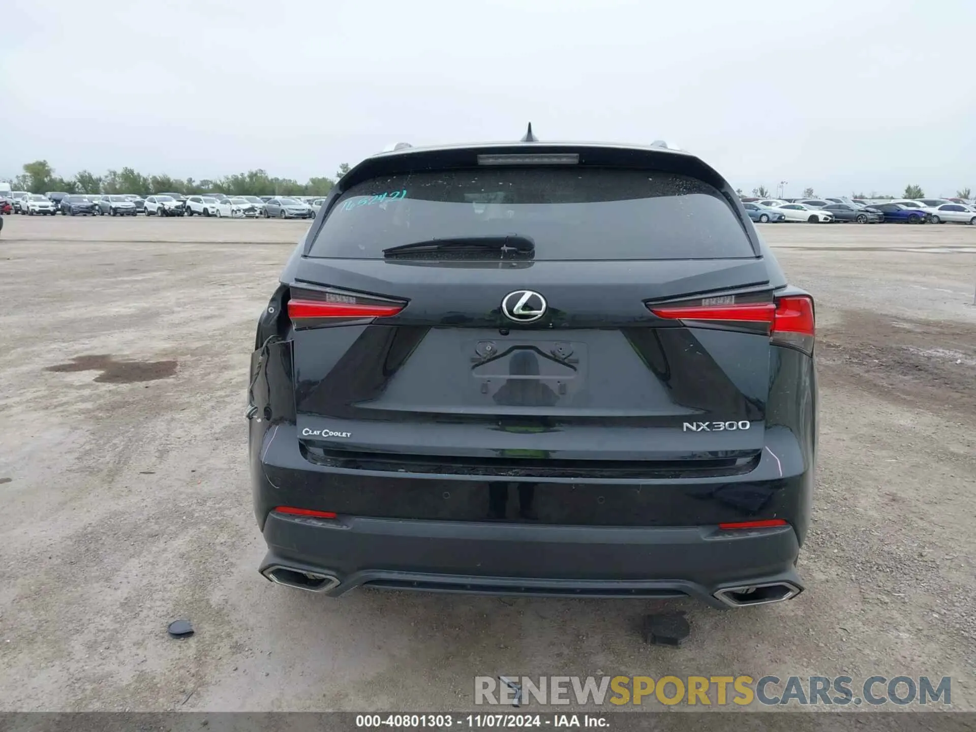 17 fotografías del automóvil dañado JTJYARBZ2K2144346 LEXUS NX 300 2019
