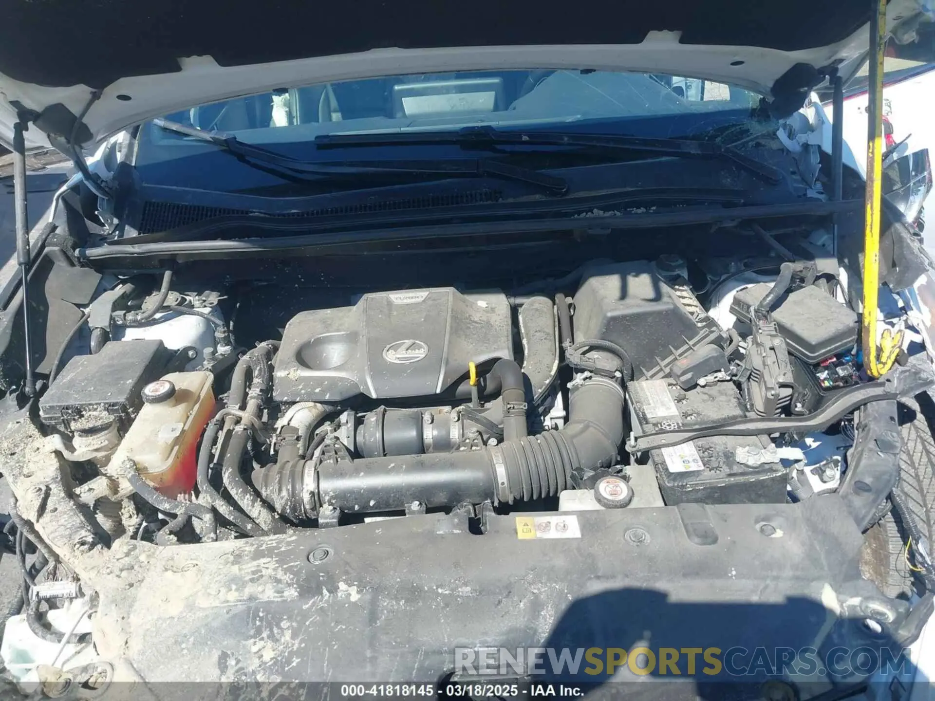 10 fotografías del automóvil dañado JTJYARBZ4K2129962 LEXUS NX 300 2019