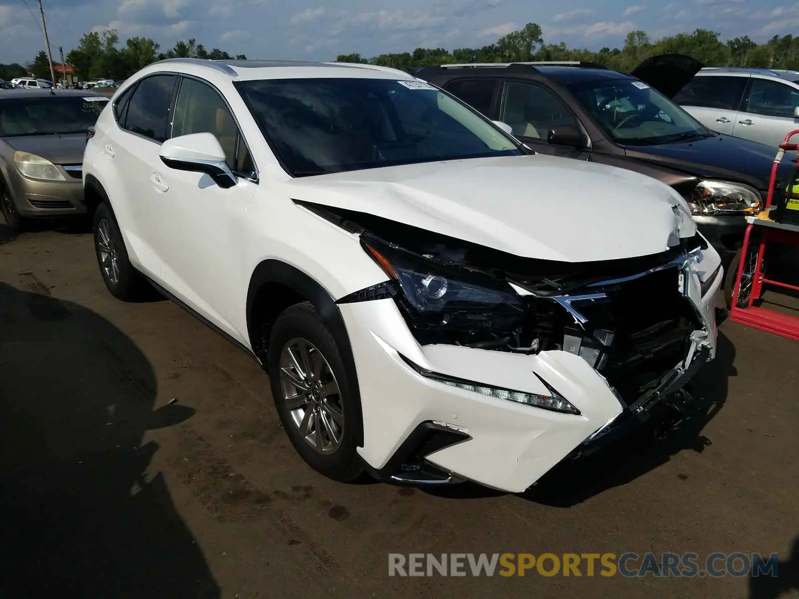 1 fotografías del automóvil dañado JTJDARDZ0L5012309 LEXUS NX 300 2020