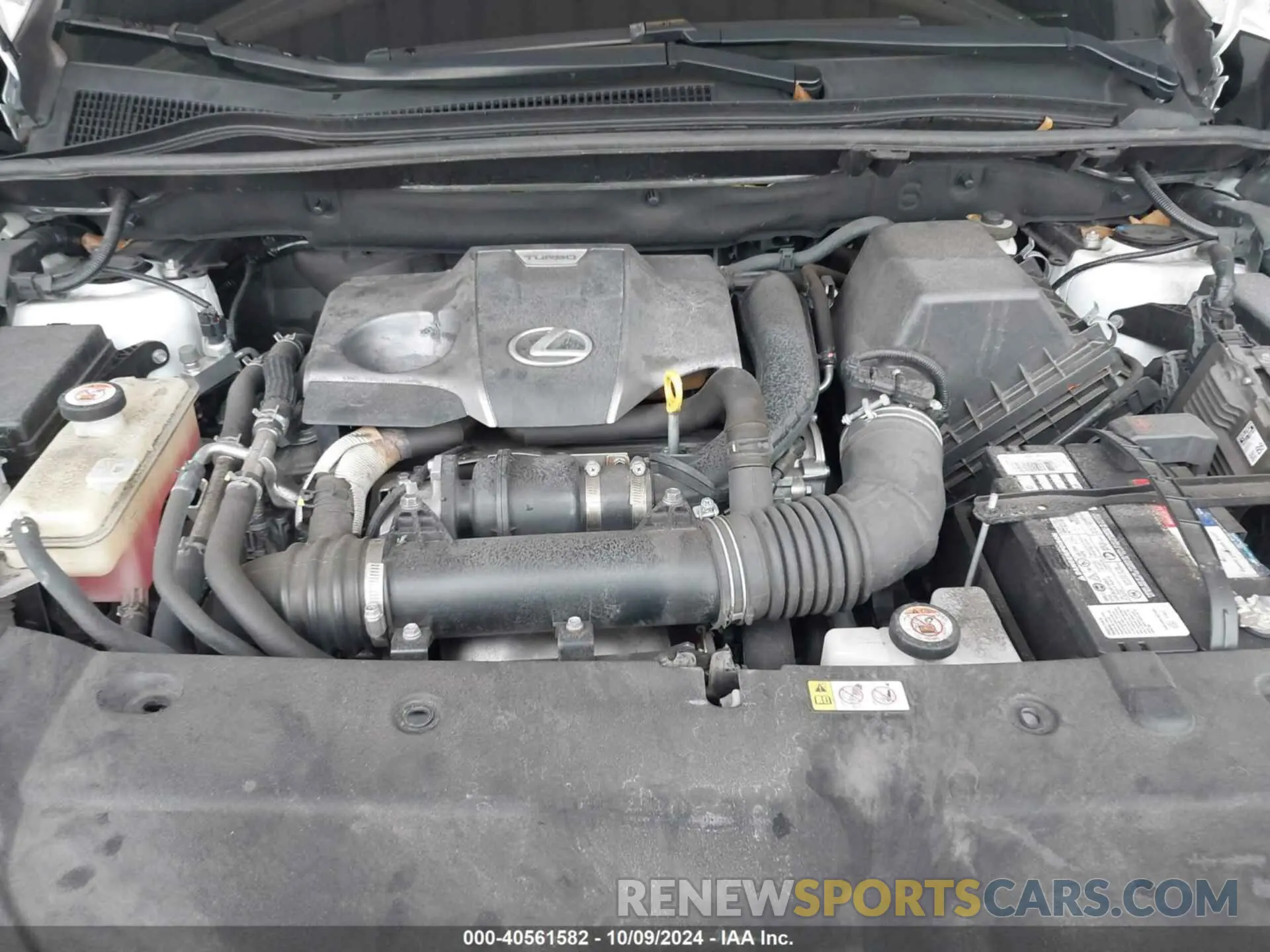 10 fotografías del automóvil dañado JTJGARBZ3L2170127 LEXUS NX 300 2020