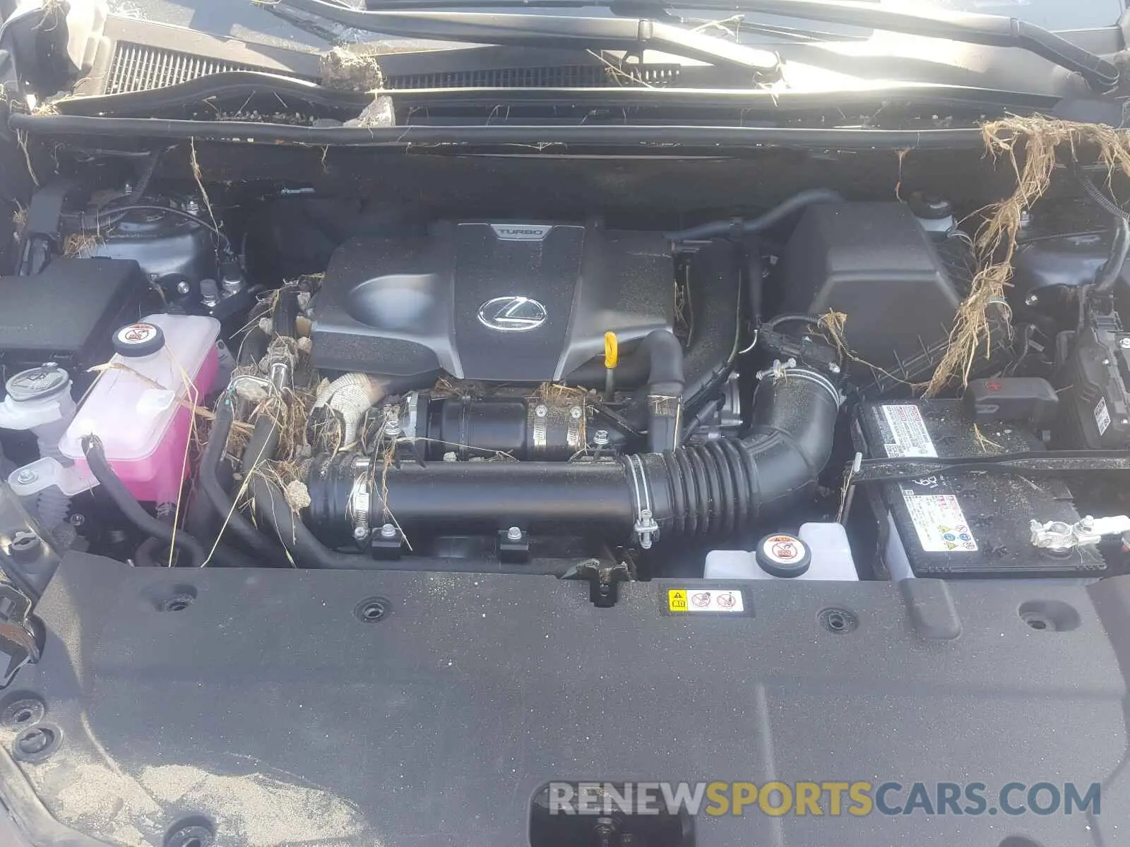 7 fotografías del automóvil dañado JTJGARBZ4L5017495 LEXUS NX 300 2020
