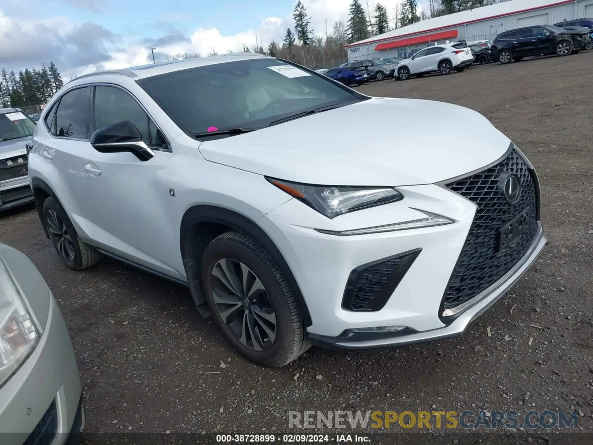 1 fotografías del automóvil dañado JTJSARDZ1L5001326 LEXUS NX 300 2020
