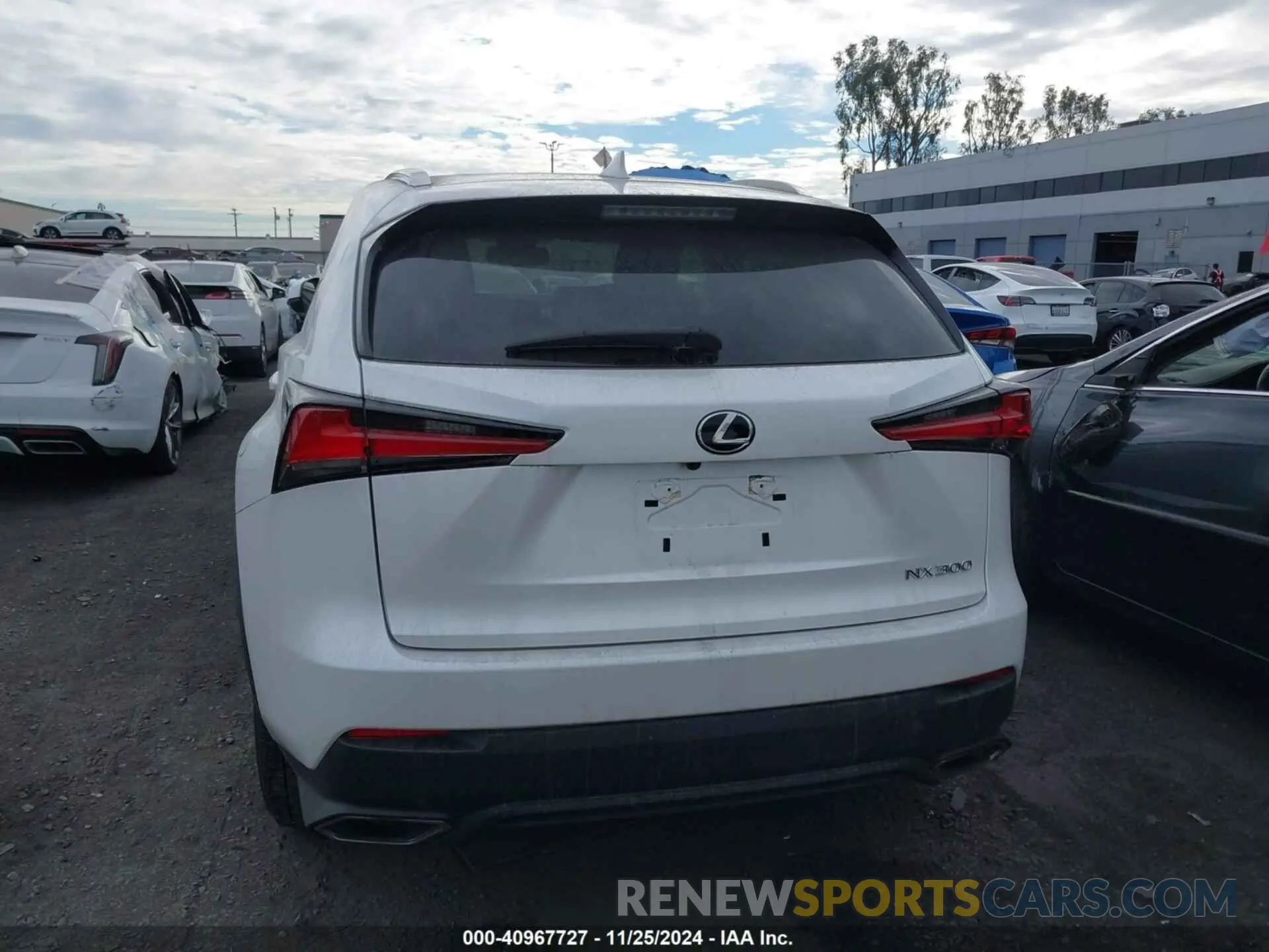 15 fotografías del automóvil dañado JTJDARBZ1M5021329 LEXUS NX 300 2021