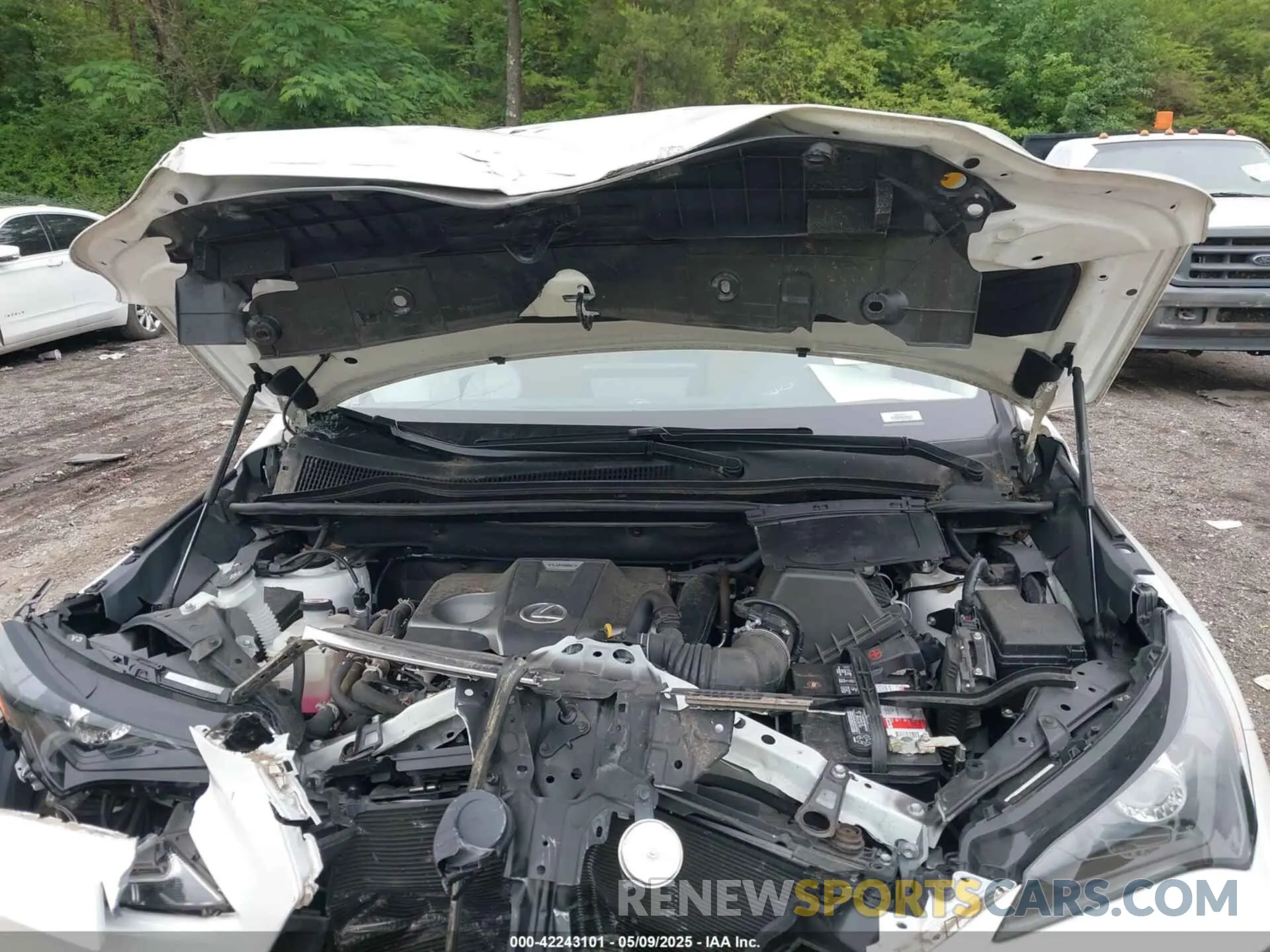 10 fotografías del automóvil dañado JTJDARBZ6M5035226 LEXUS NX 300 2021