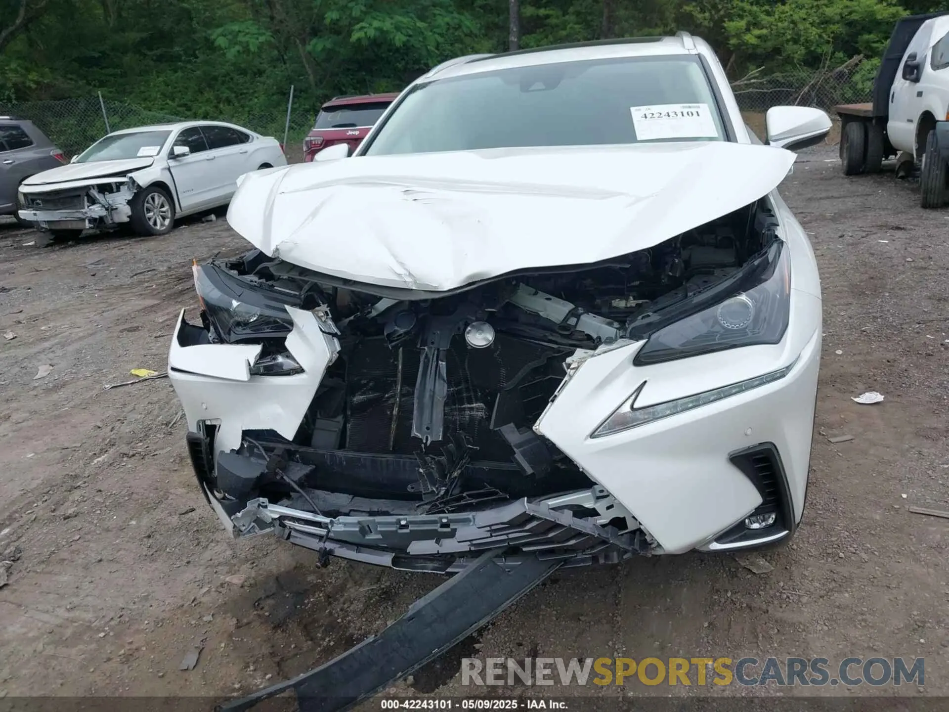 12 fotografías del automóvil dañado JTJDARBZ6M5035226 LEXUS NX 300 2021