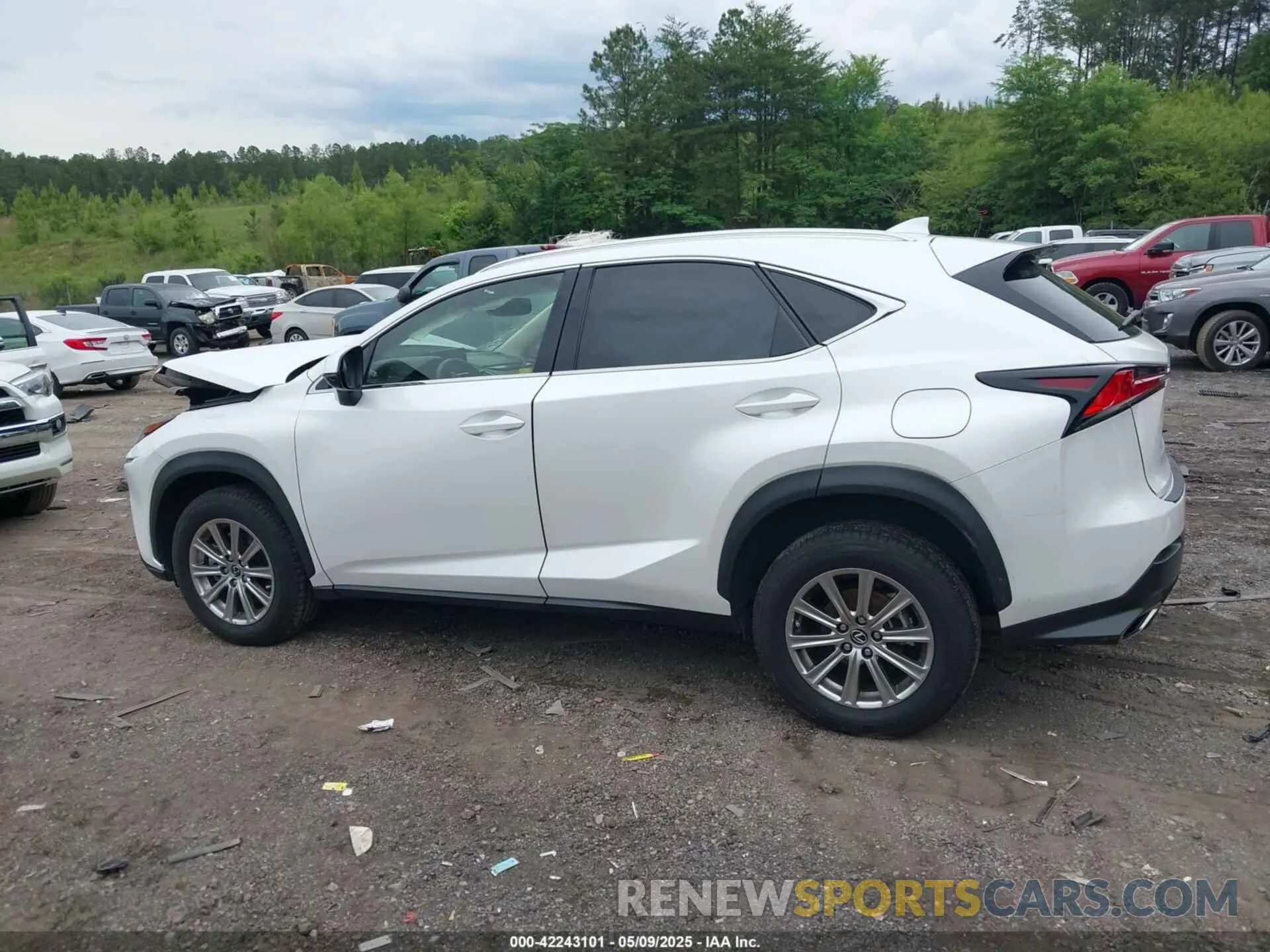 14 fotografías del automóvil dañado JTJDARBZ6M5035226 LEXUS NX 300 2021