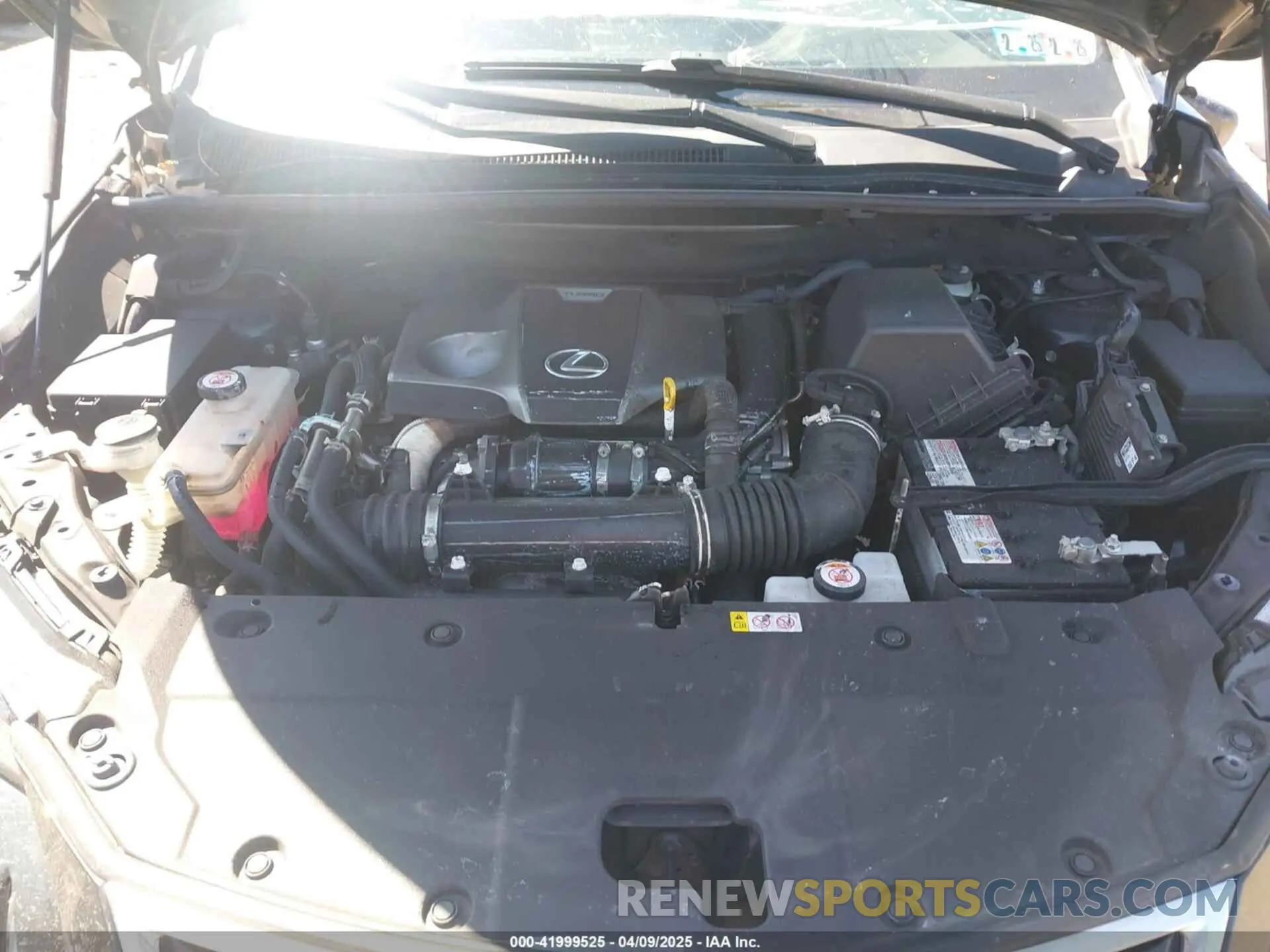 10 fotografías del automóvil dañado JTJDARDZXM2249781 LEXUS NX 300 2021
