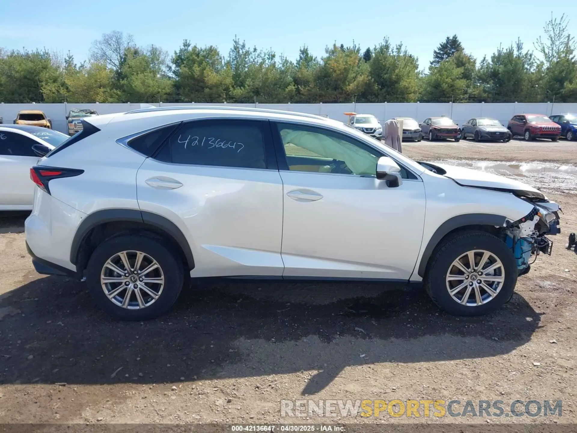 14 fotografías del automóvil dañado JTJDARDZXM5021147 LEXUS NX 300 2021
