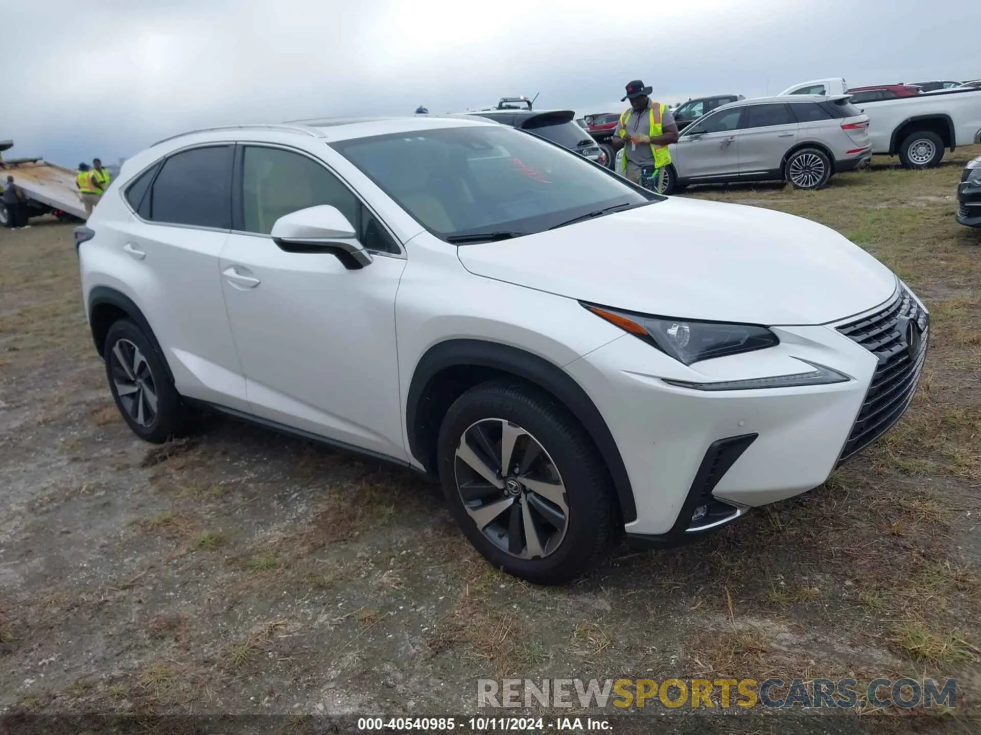 1 fotografías del automóvil dañado JTJGARBZ2M5020705 LEXUS NX 300 2021