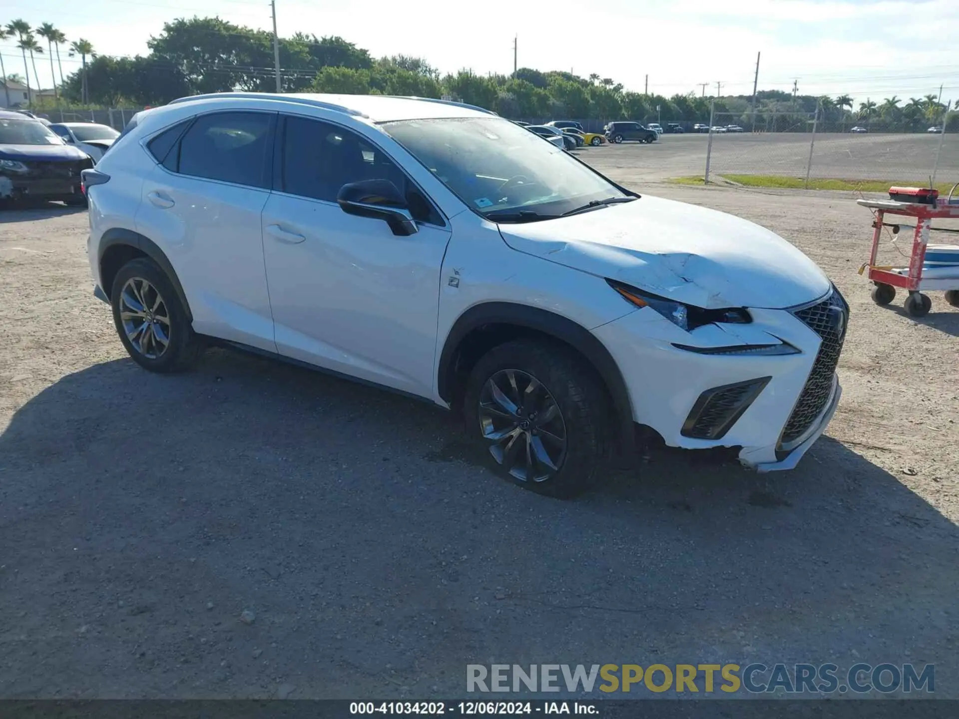1 fotografías del automóvil dañado JTJSARBZ8M2199988 LEXUS NX 300 2021