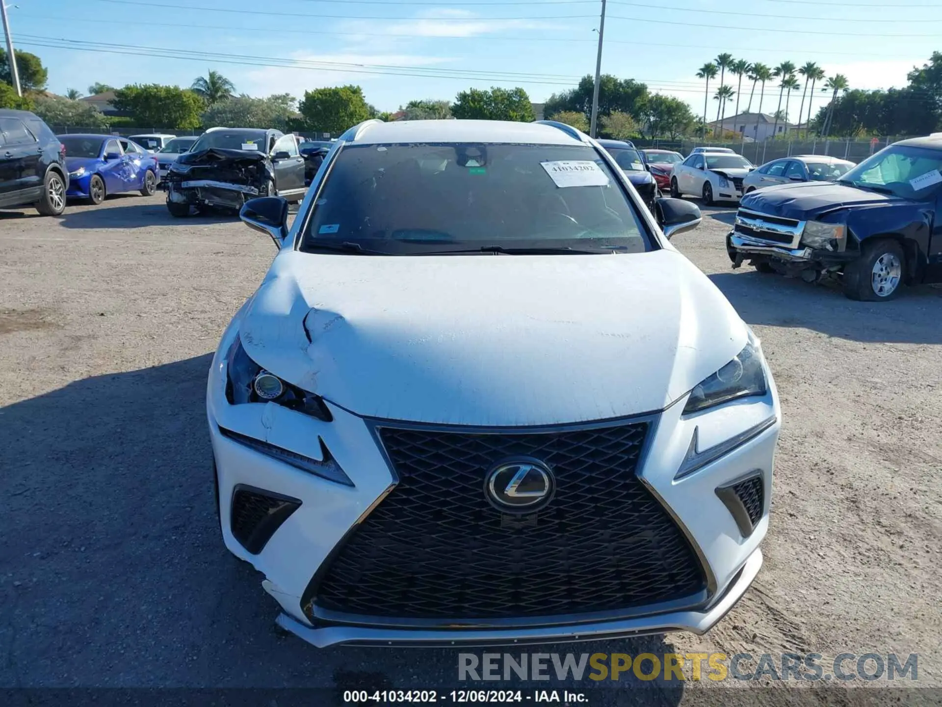 12 fotografías del automóvil dañado JTJSARBZ8M2199988 LEXUS NX 300 2021