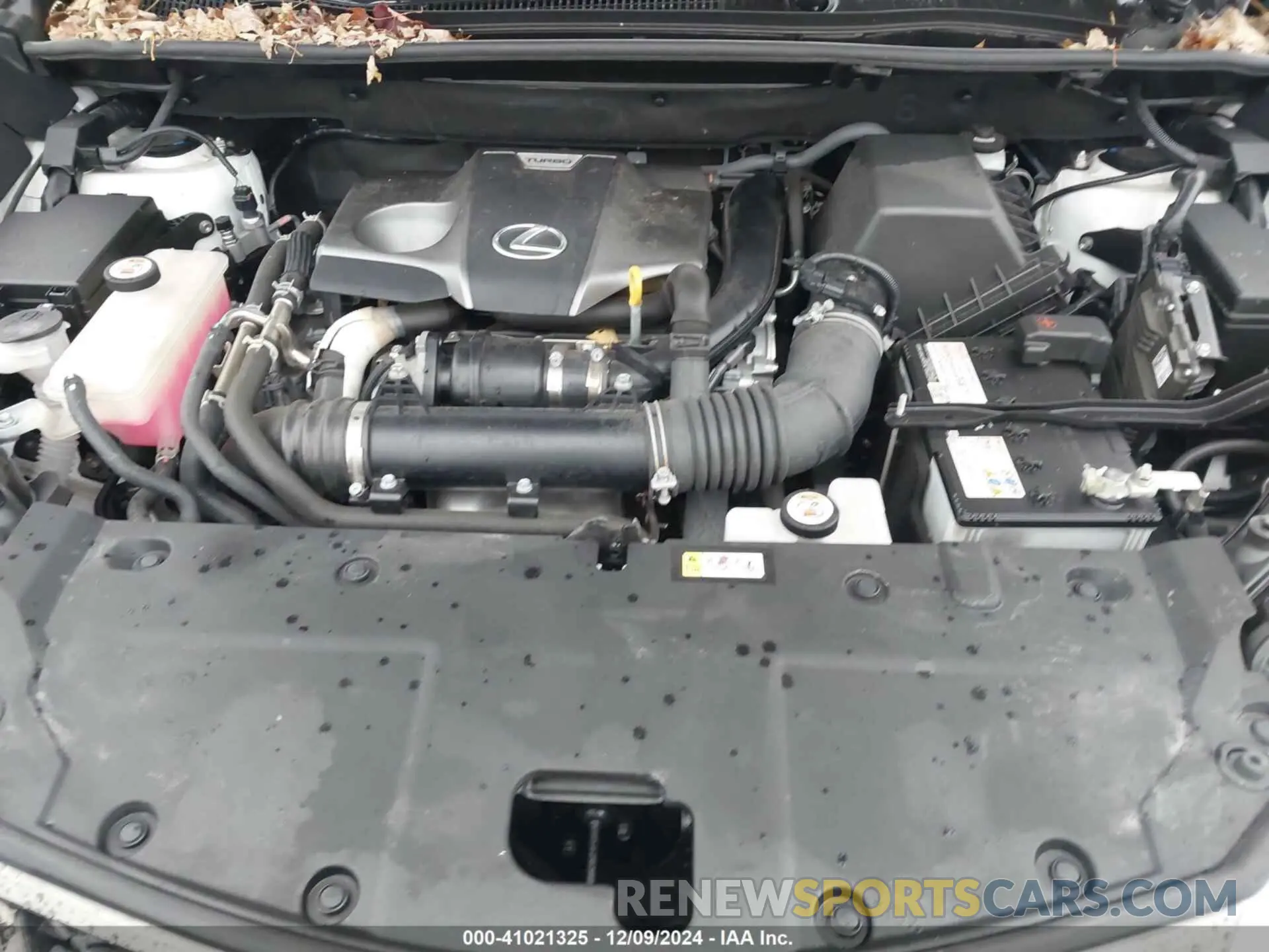 10 fotografías del automóvil dañado JTJSARDZ6M5021671 LEXUS NX 300 2021