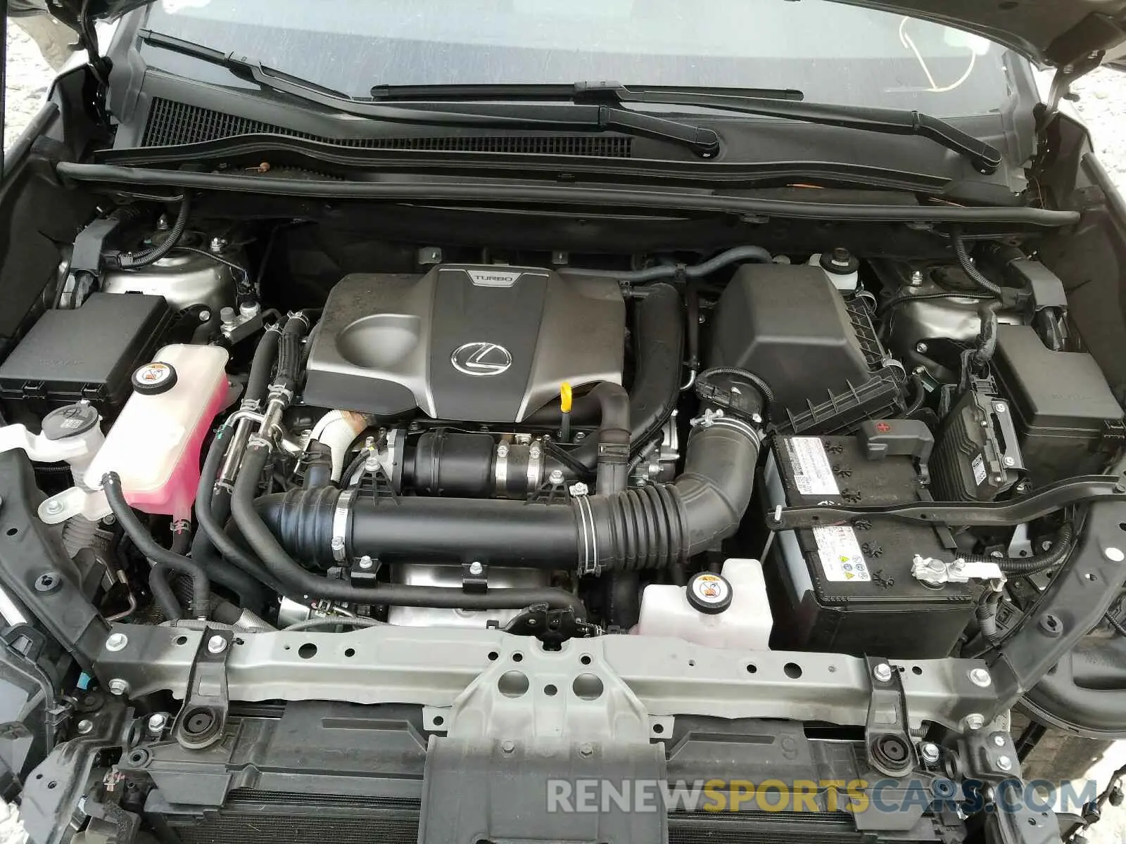7 fotografías del automóvil dañado JTJYARBZ8K2149325 LEXUS NX 300 BAS 2019